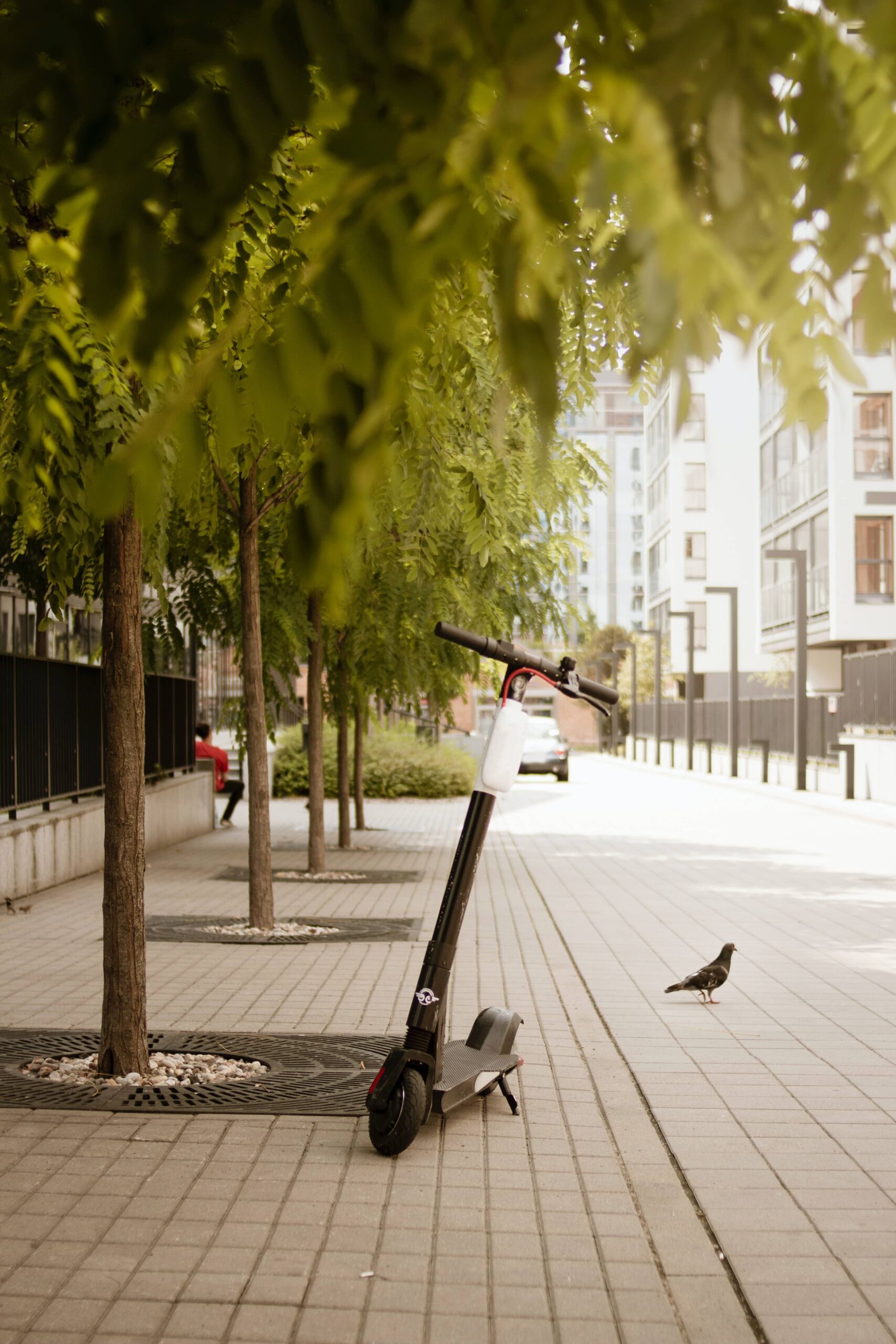 6 consejos antes de comprar un patinete eléctrico - por patinete.pro