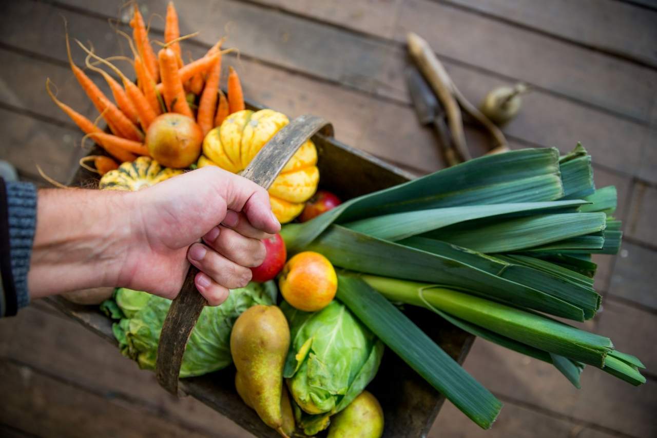 Comprar frutas y verduras directamente al agricultor: EcoSarga