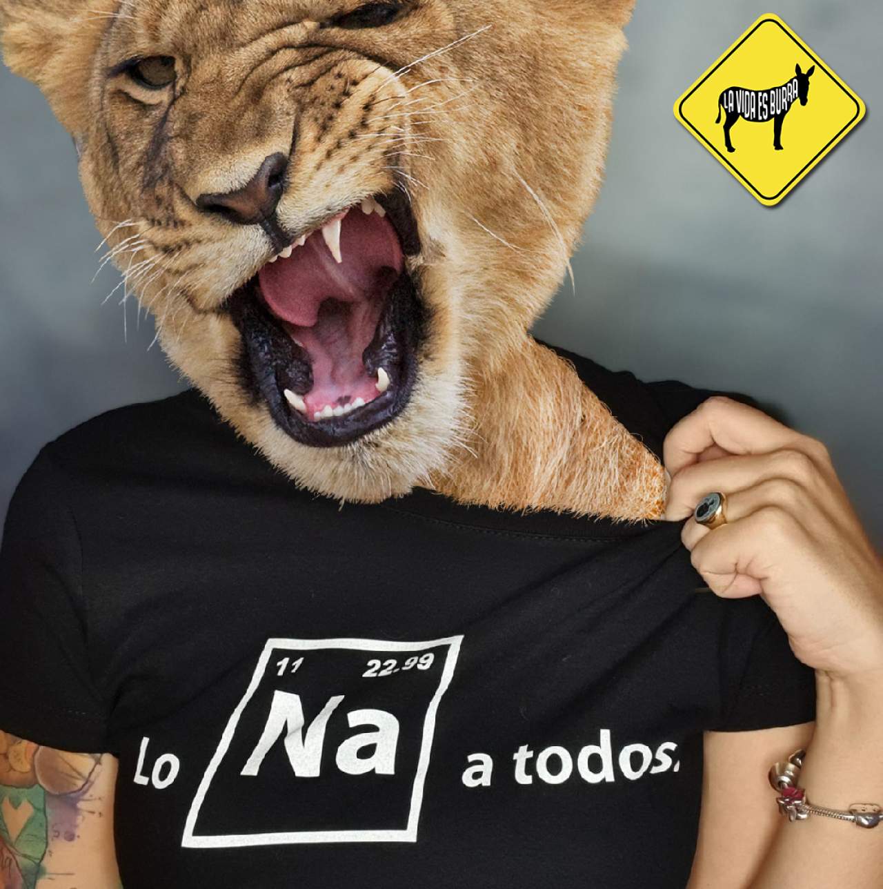 Tres en un Burro: camisetas originales
