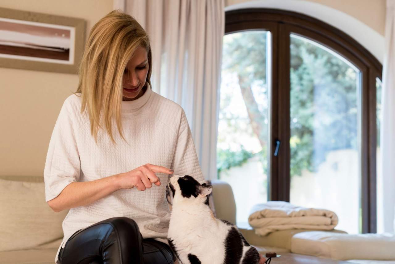 La Encantadora de Gatos afirma que se puede educar a un gato o corregir la conducta o comportamientos indeseados