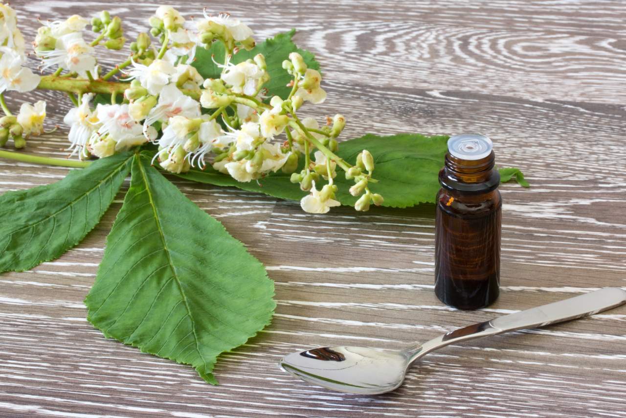 Terapia floral para vivir mejor: Flores de Bach