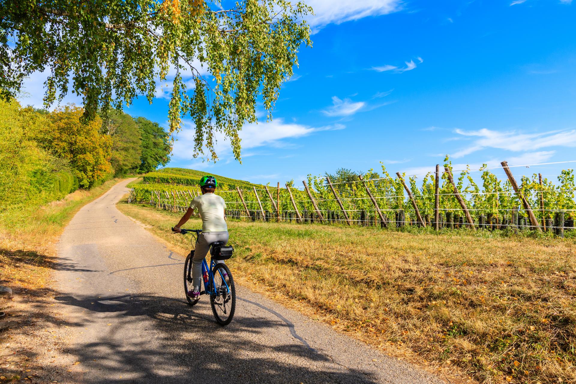 Realizar la promoción profesional de marketing profesional de turismo rural con Ruralzoom