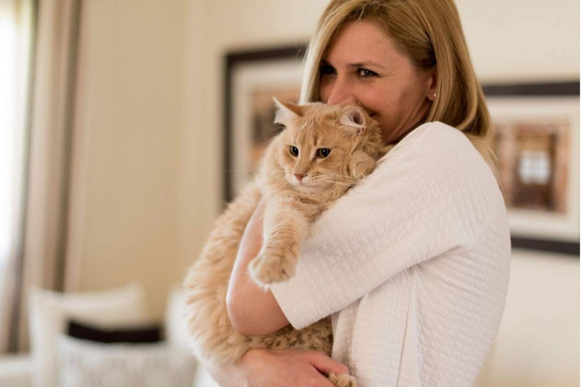 La importancia de saber cómo educar a un gato para que no muerda: la Encantadora de Gatos