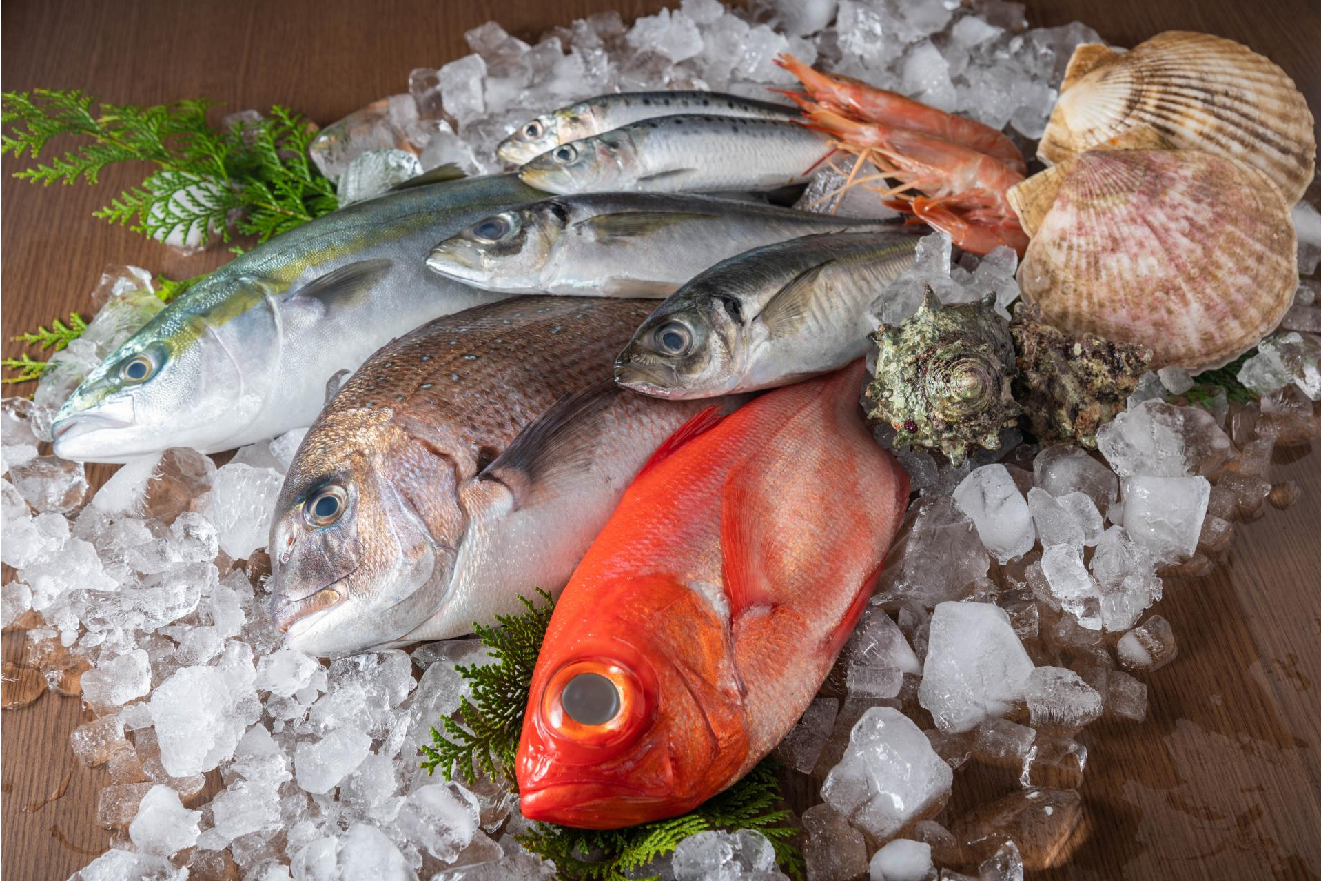 Aacore Supply ofrece las cámaras frigoríficas para pescaderías más populares en España