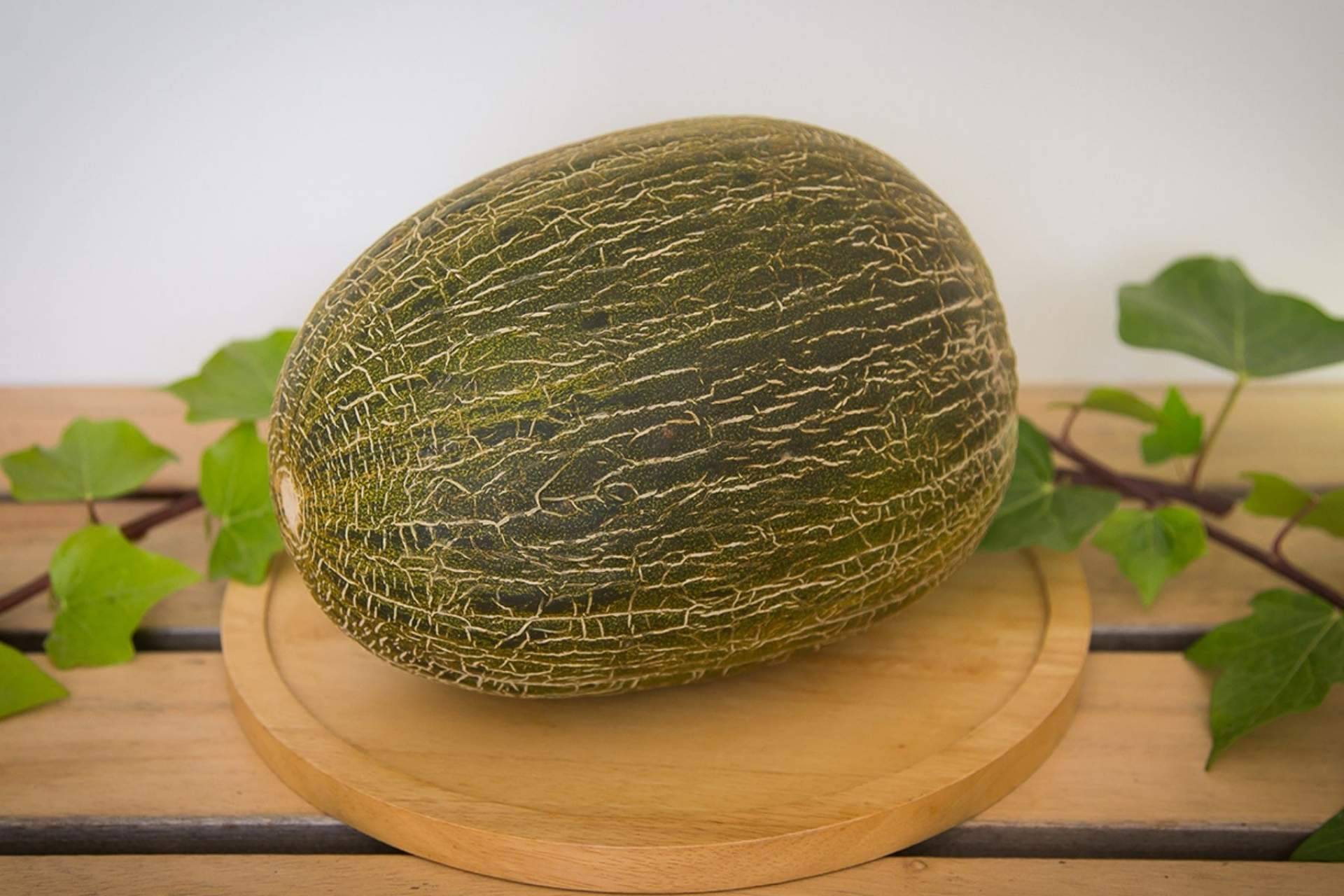 ¿Dónde encontrar melones gourmet únicos en el mercado?: Cítricos y Delicias