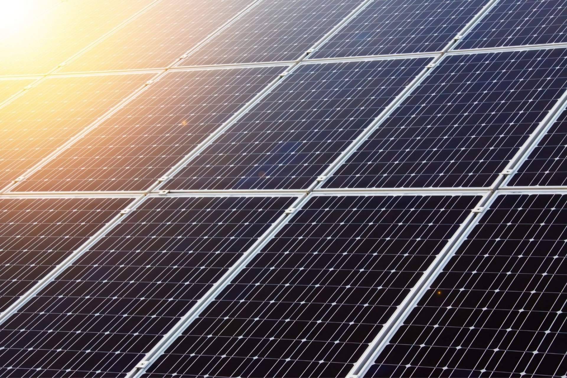 Solar Energy: la diferencia entre las placas solares térmicas y los paneles solares fotovoltaicos