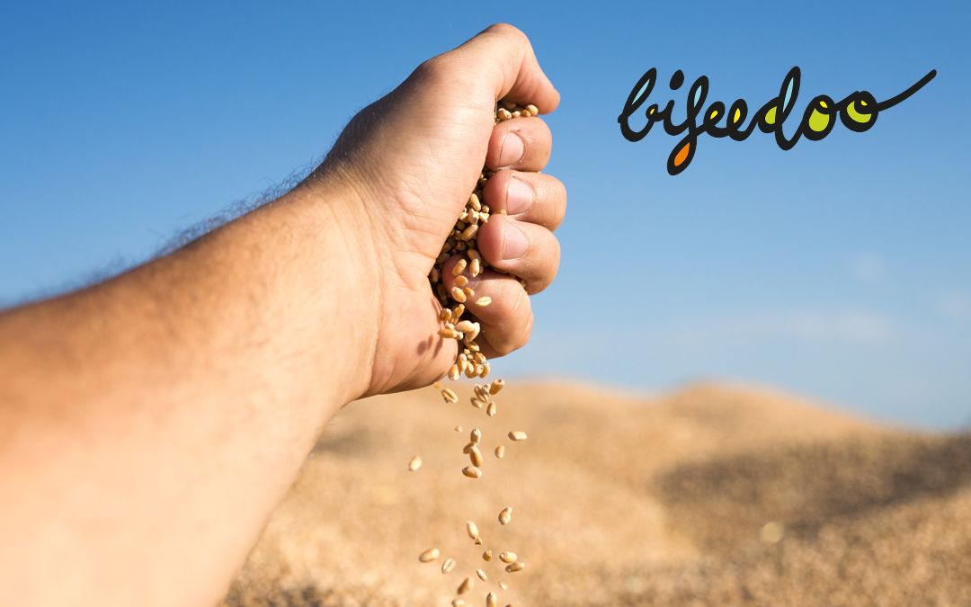 Bifeedoo suma tradición e innovación en su apuesta por el pienso ecológico