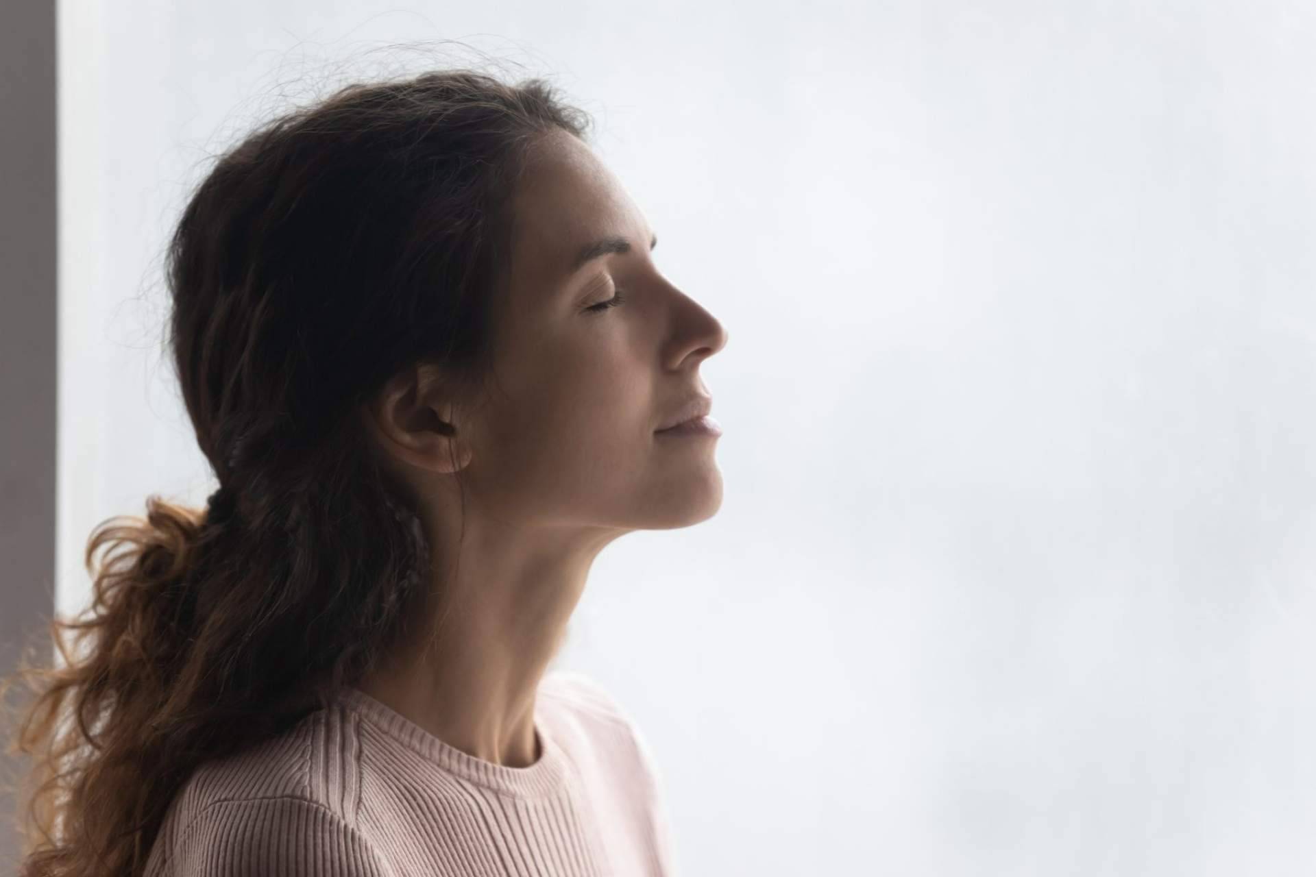 El camino para conseguir la sanación y cambios en la vida: Somos Armonía