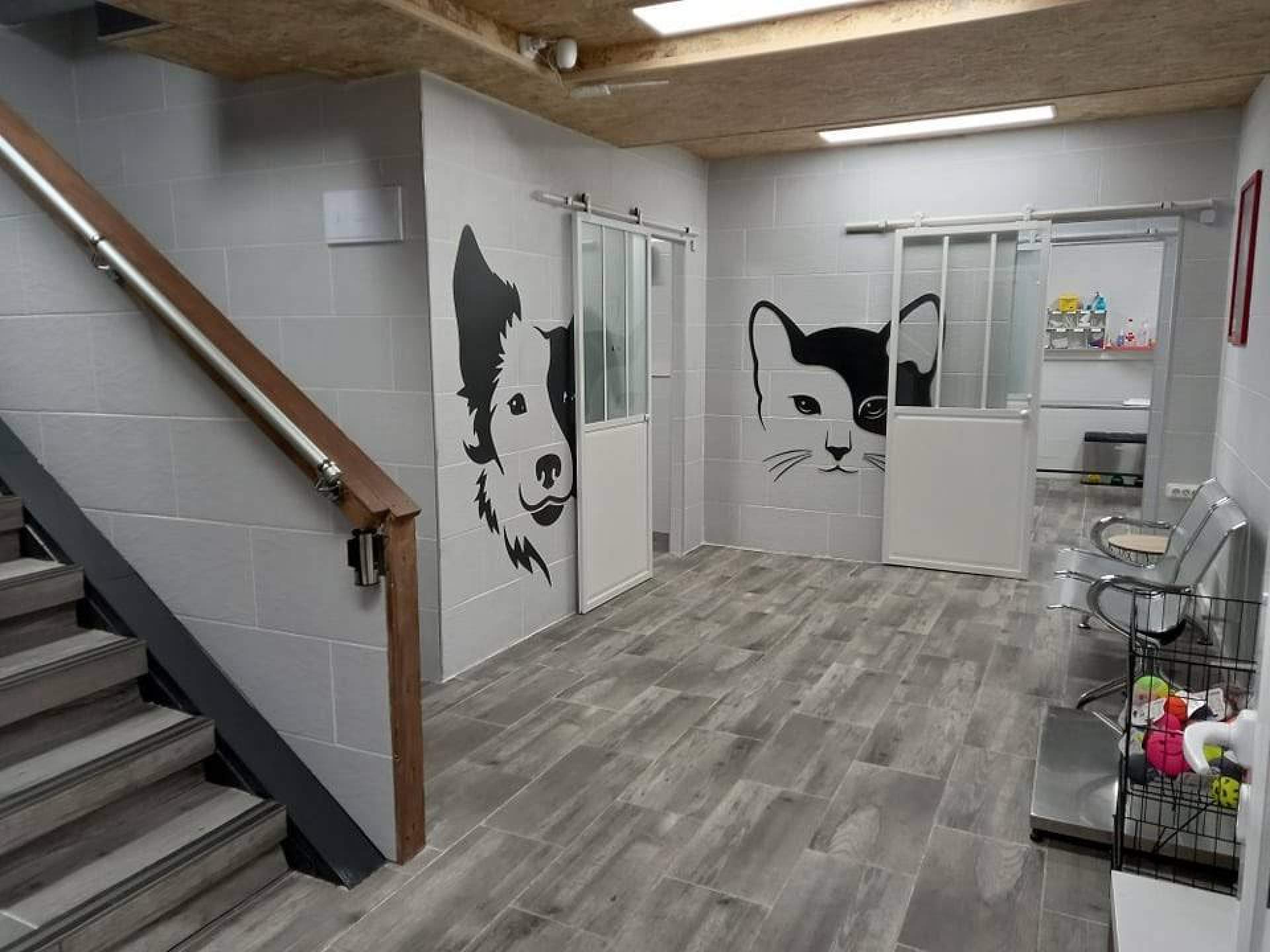 Amaita Mascota: clínica veterinaria Irún con servicio de urgencias 24 horas
