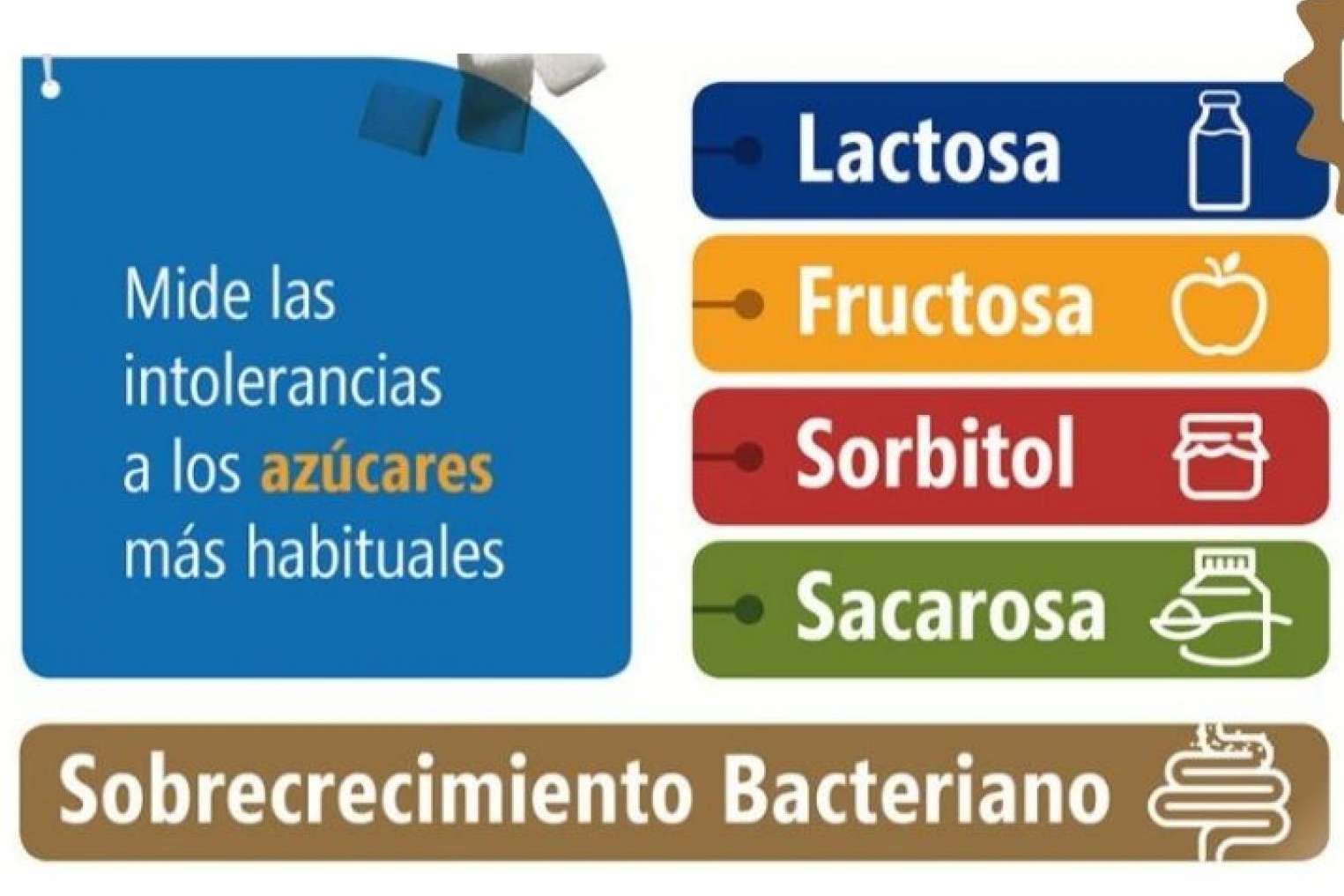 Los profesionales de UMEBIR aseguran que las intolerancias alimentarias son reversibles