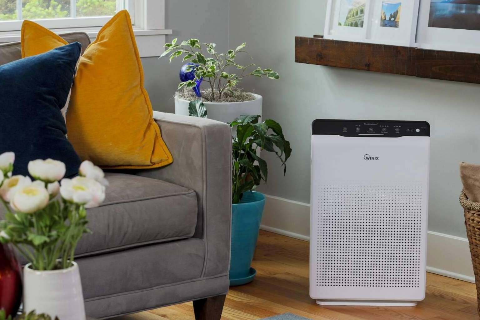 La tienda online Protect Soiart Distribución tiene disponibles los purificadores WINIX