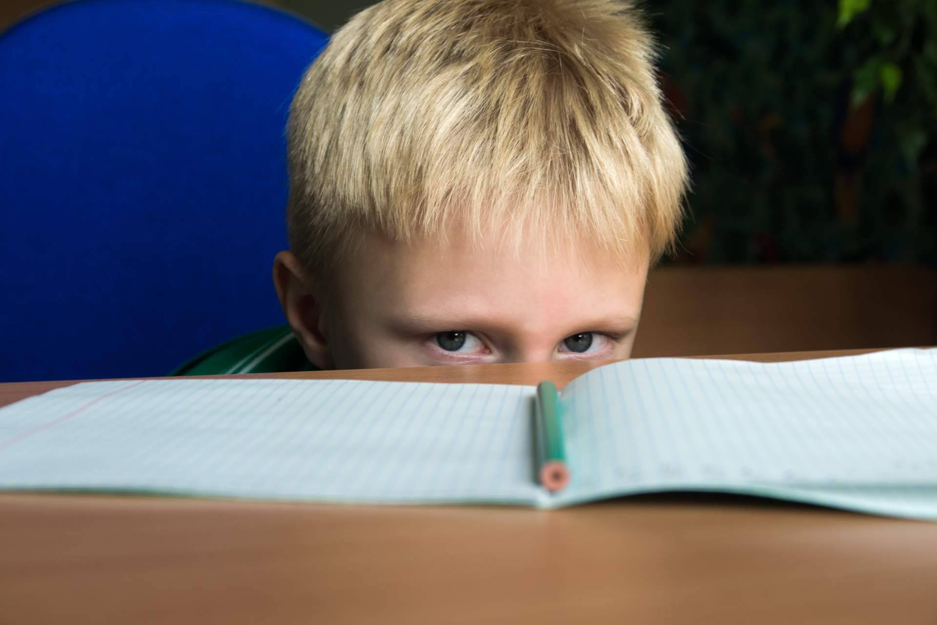 ¿Cuál es el objetivo de una evaluación psicopedagógica?: Área 44 Servicios Educativos