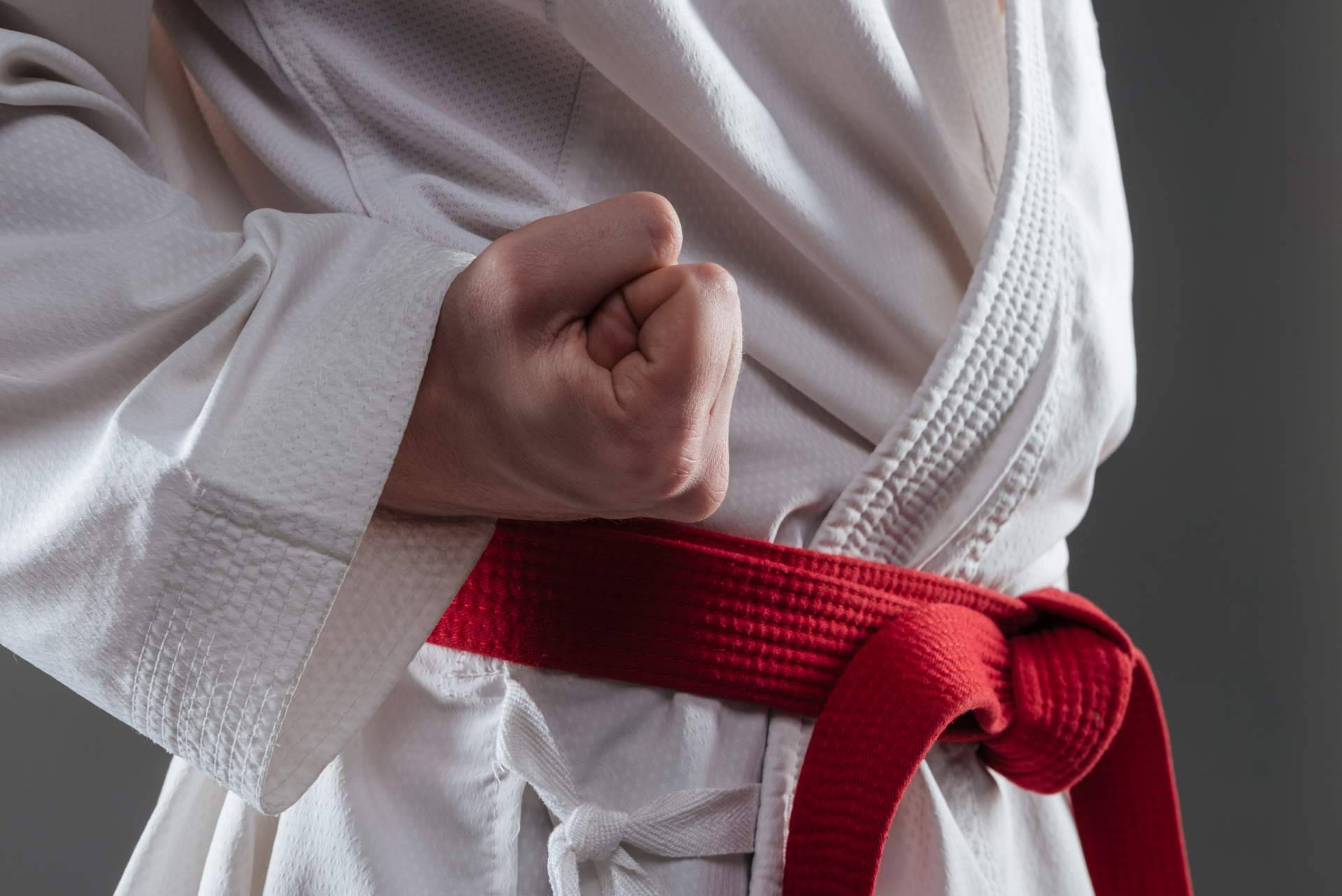 La tienda online Kendokan Martial Arts ofrece a los amantes de las artes marciales una gran selección de equipo deportivo y equipamiento para poder entrenar en casa