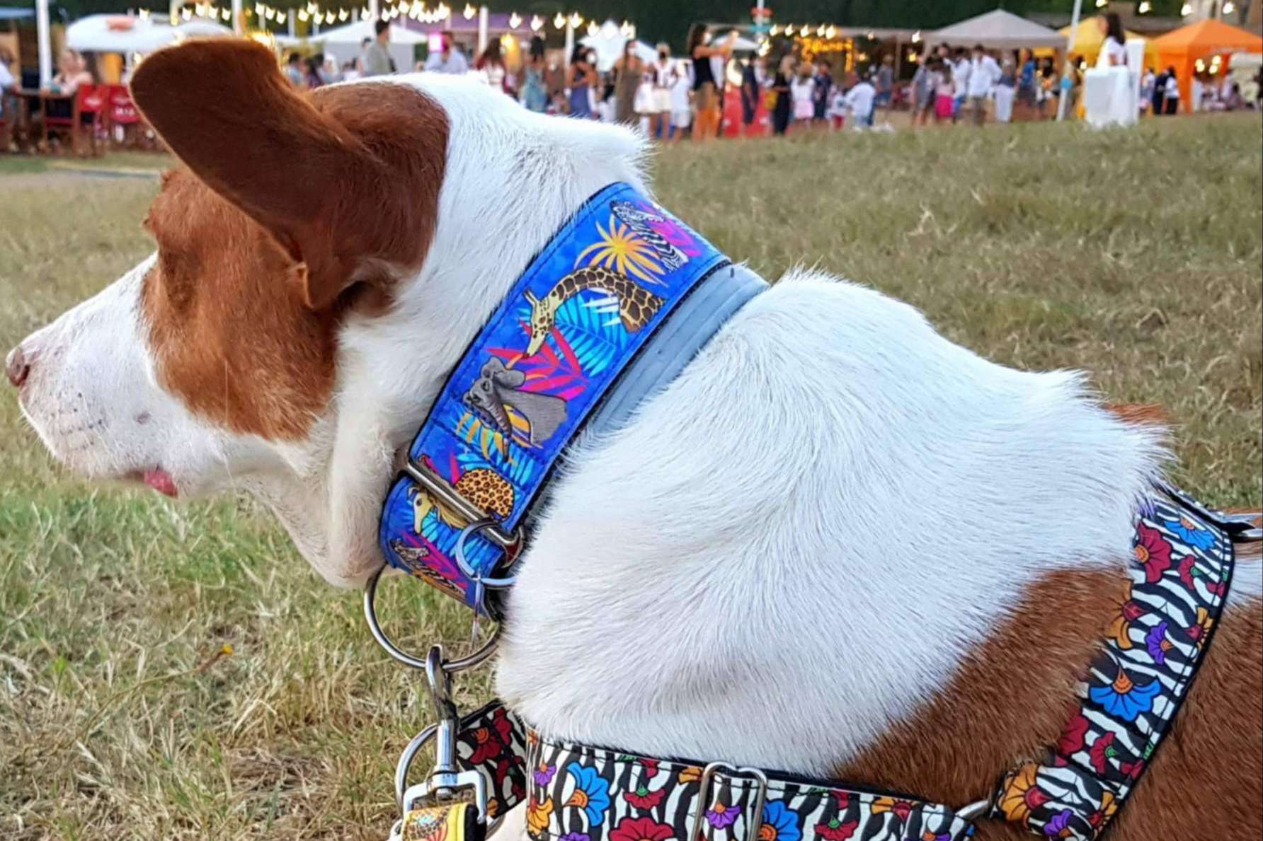 Complementos de Patitas Barcelona: la originalidad y resistencia de los collares