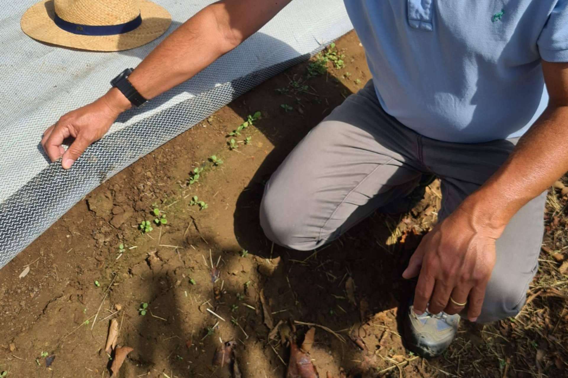 Agrisoil, el tejido cubresuelos de Agralia