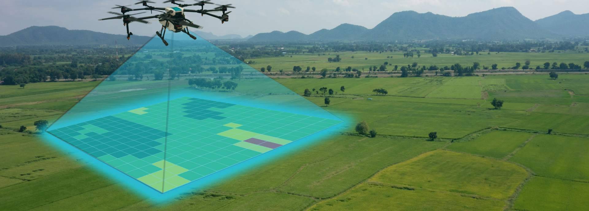 MORERA: proyecto pionero en monitorización de riego y rendimiento agrícola para beneficiar la industria agrícola española