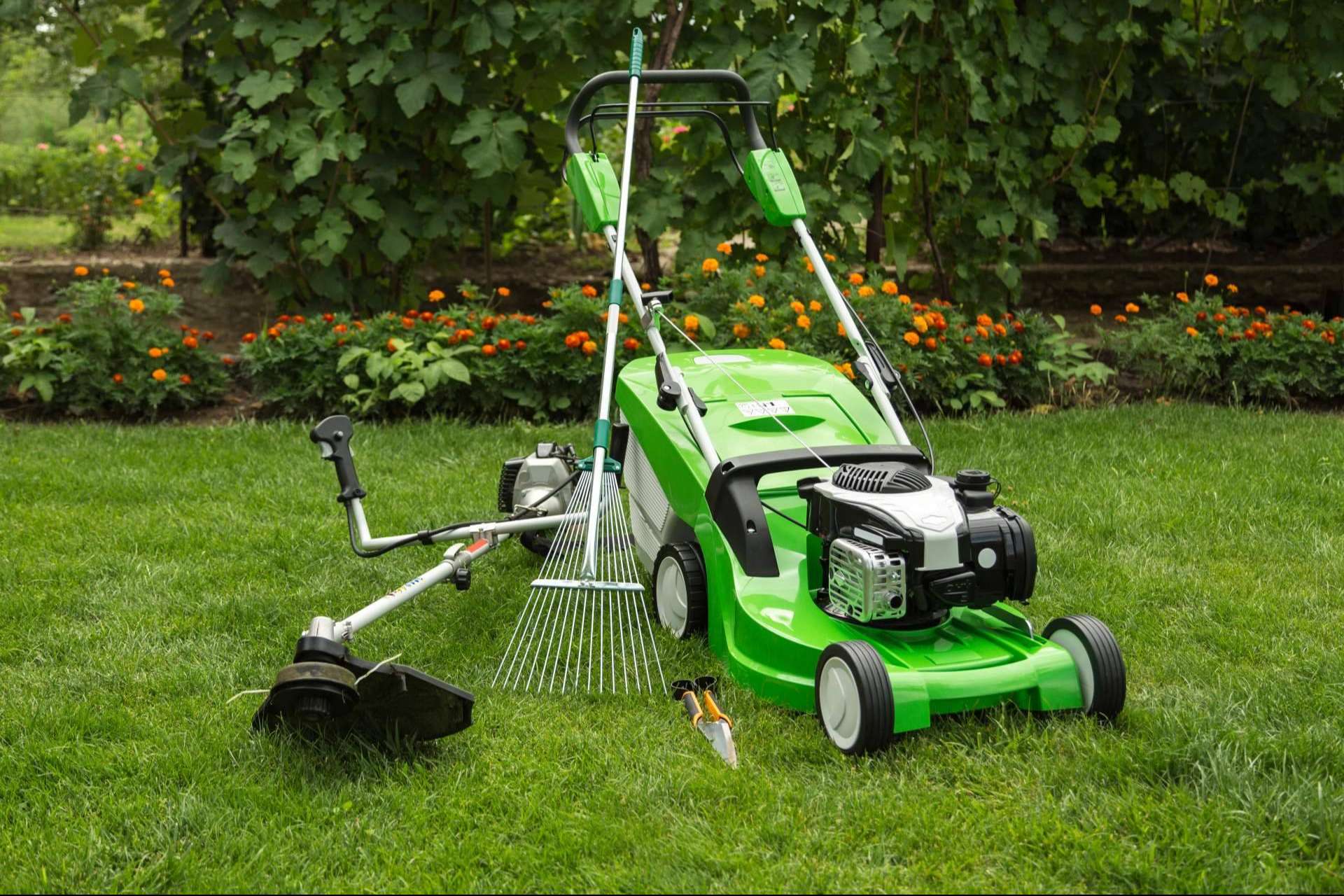 Las herramientas de jardín para eliminar las malas hierbas disponibles en el amplio catálogo de Modrego Hogar