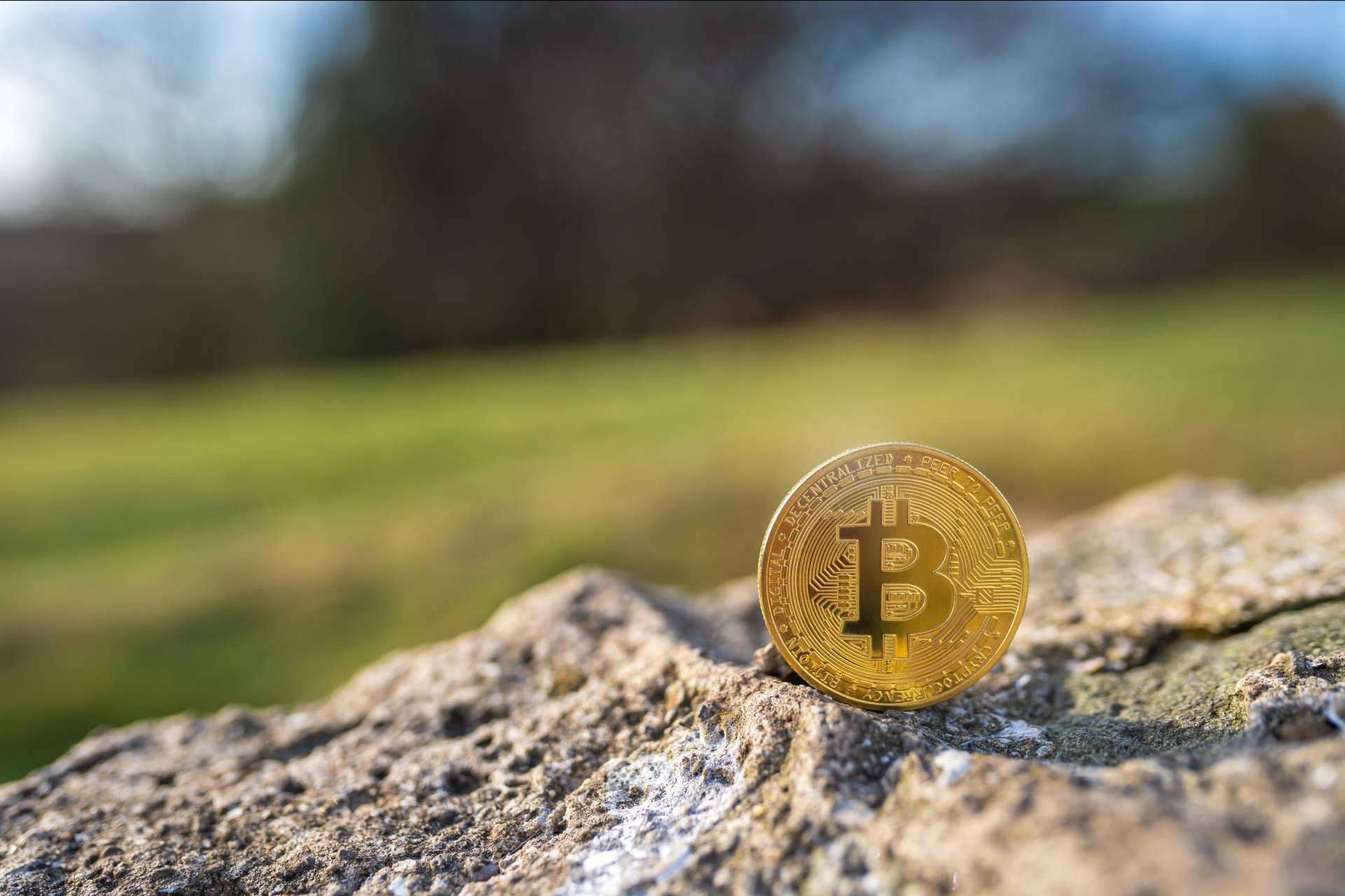 Asesoramiento sobre criptomonedas e ICO en el Reino Unido gracias a Ltd24Ore