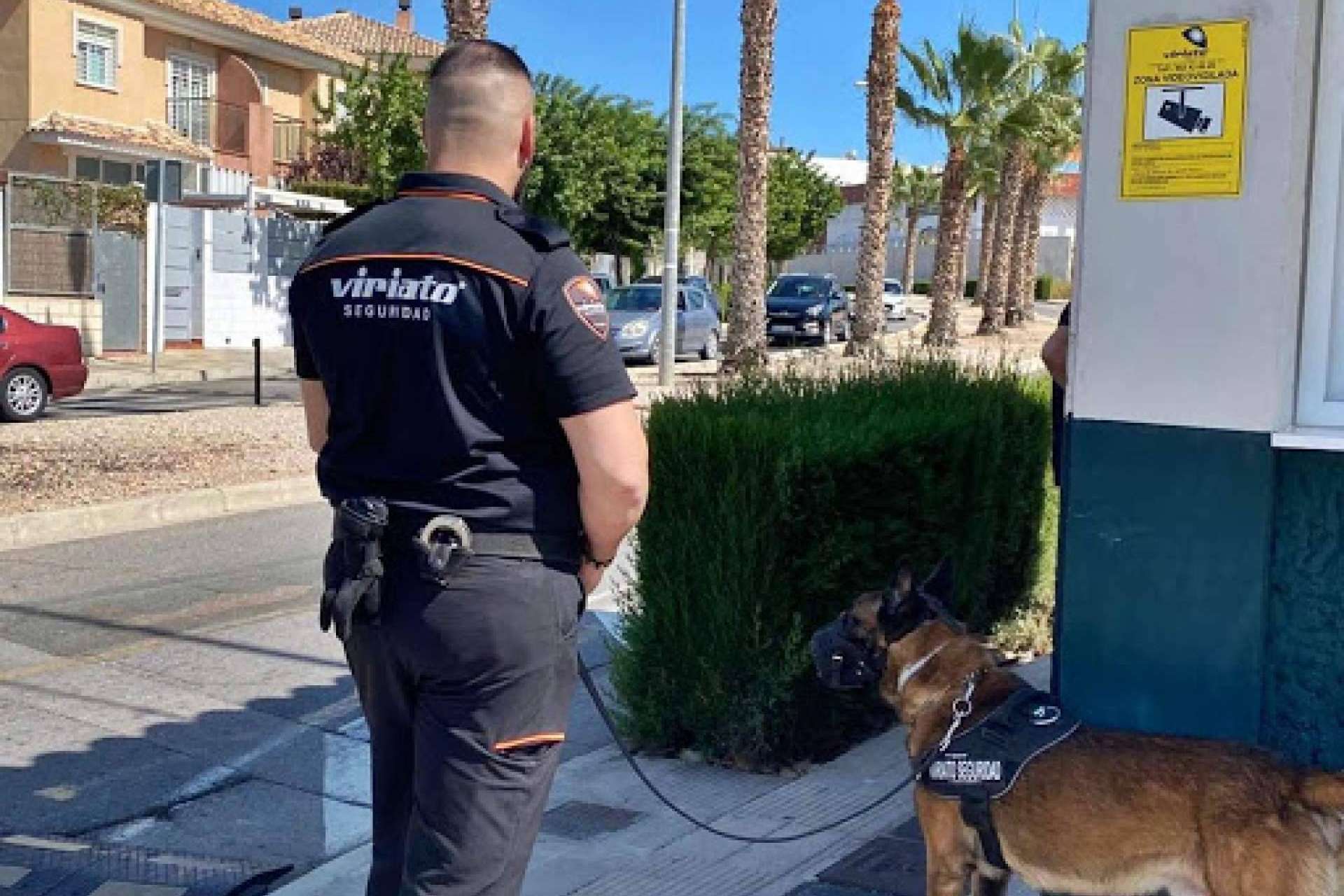 Máxima seguridad y protección garantizada para hogares, comercios y empresas con el servicio anti-intrusión de Viriato Seguridad