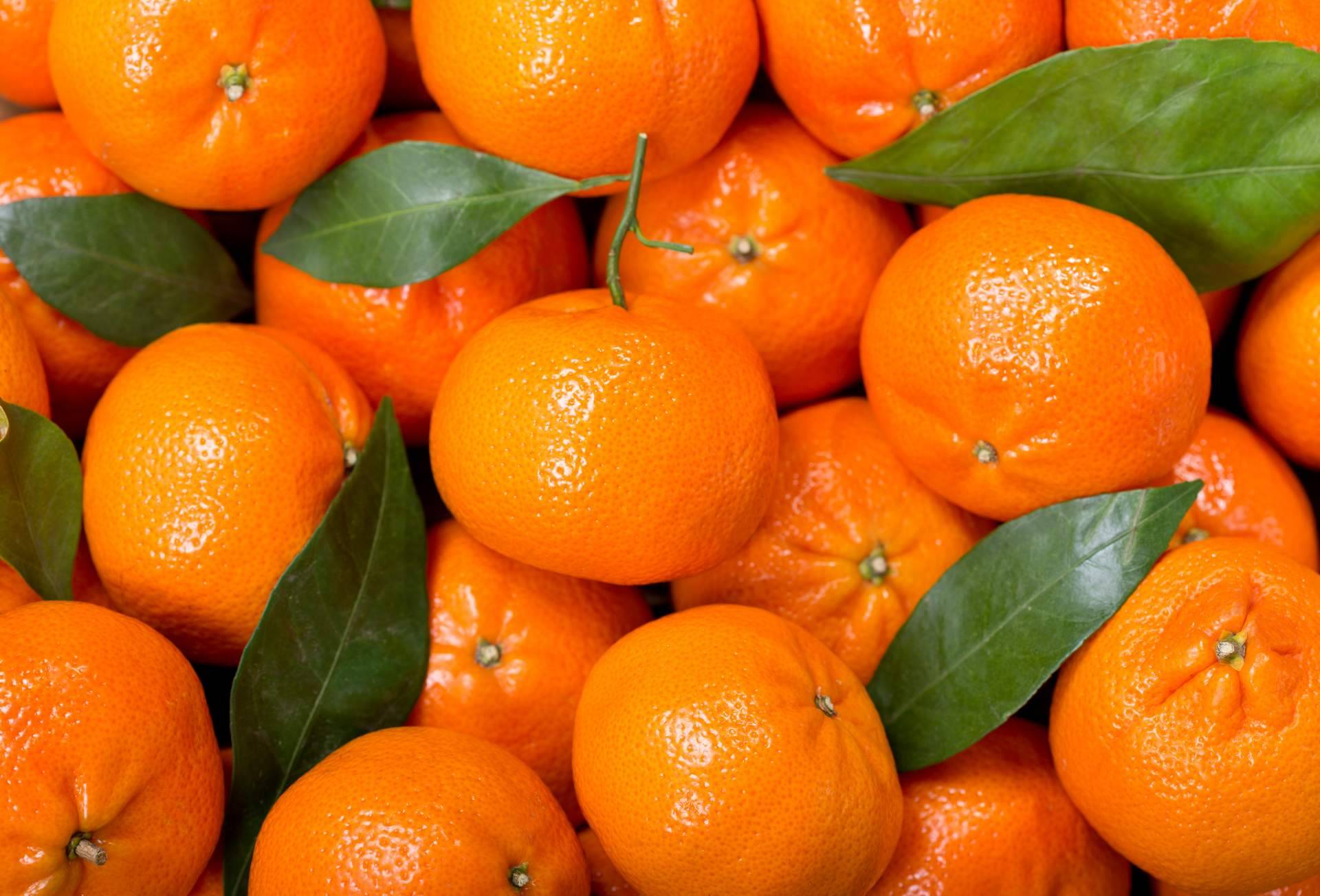 Finca el Carraixet permite comprar mandarinas de calidad en su página web