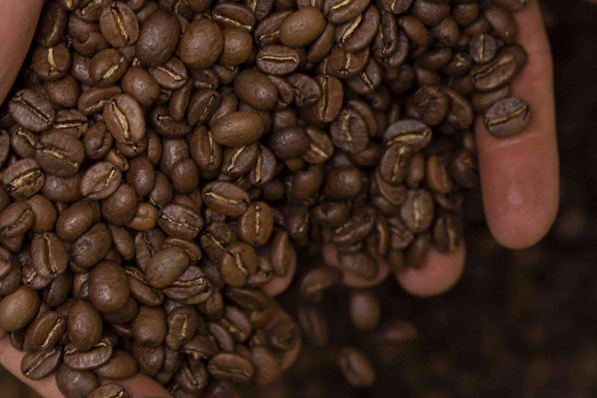 El café de especialidad al alcance de todo el mundo, el tesoro de Syra Coffee
