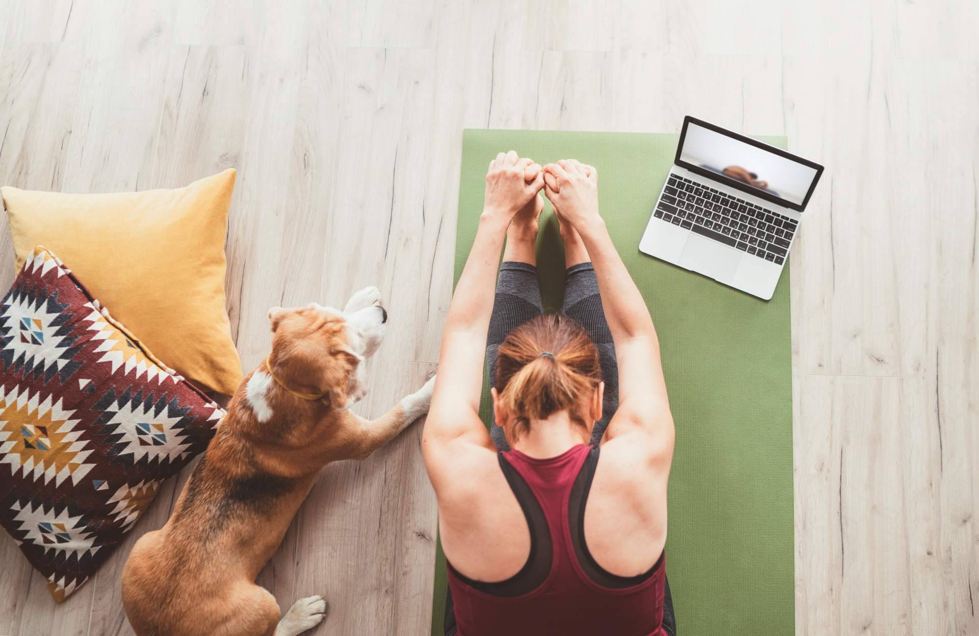 El Centro de Yoga Kavaalya imparte el curso online de profesor de yoga