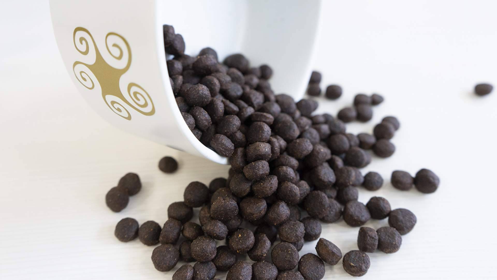 La alimentación Grain-Free para perros de la firma Lenda