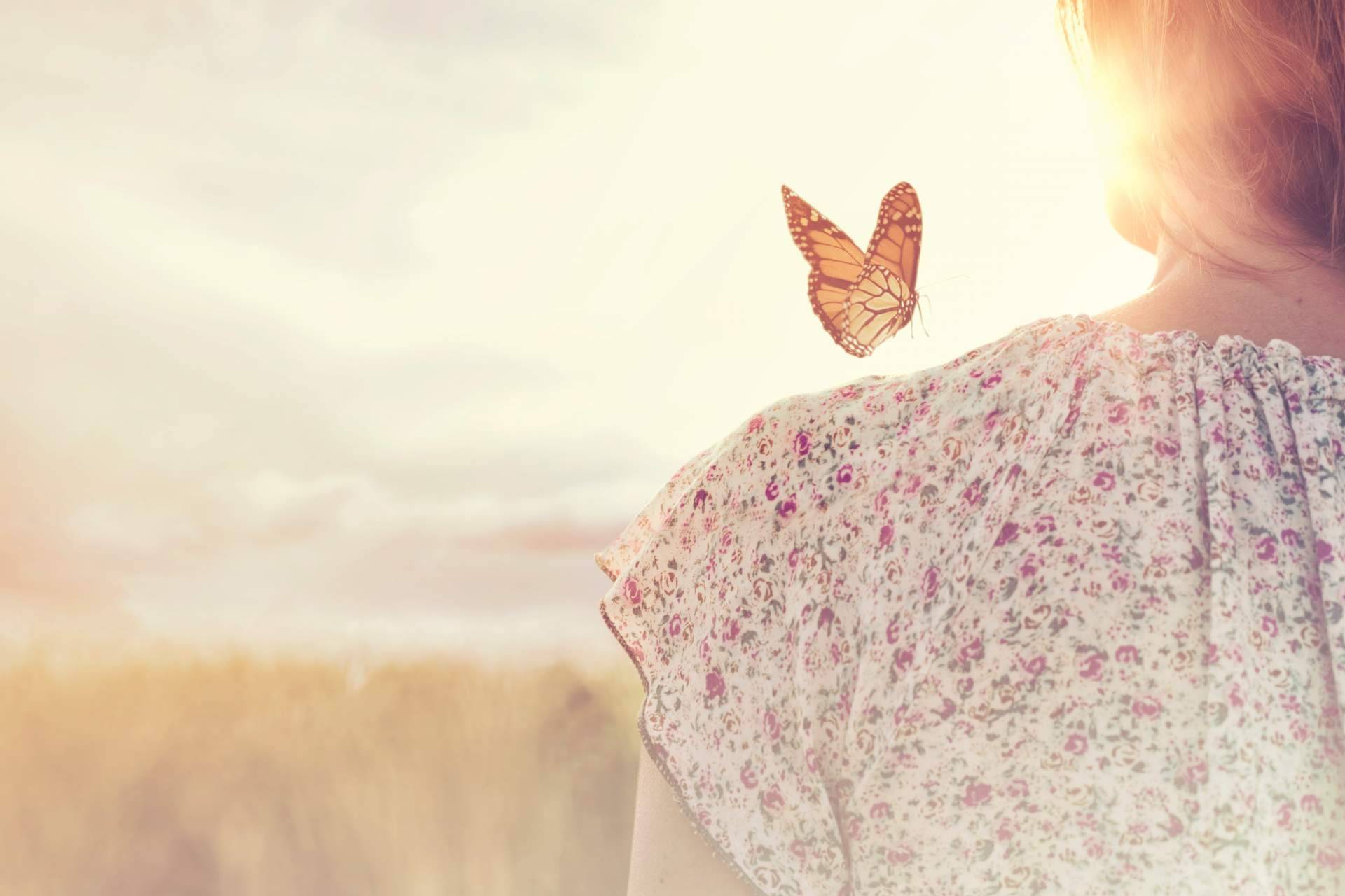 Psicosoluciones Burgos ofrece cursos online de mindfulness