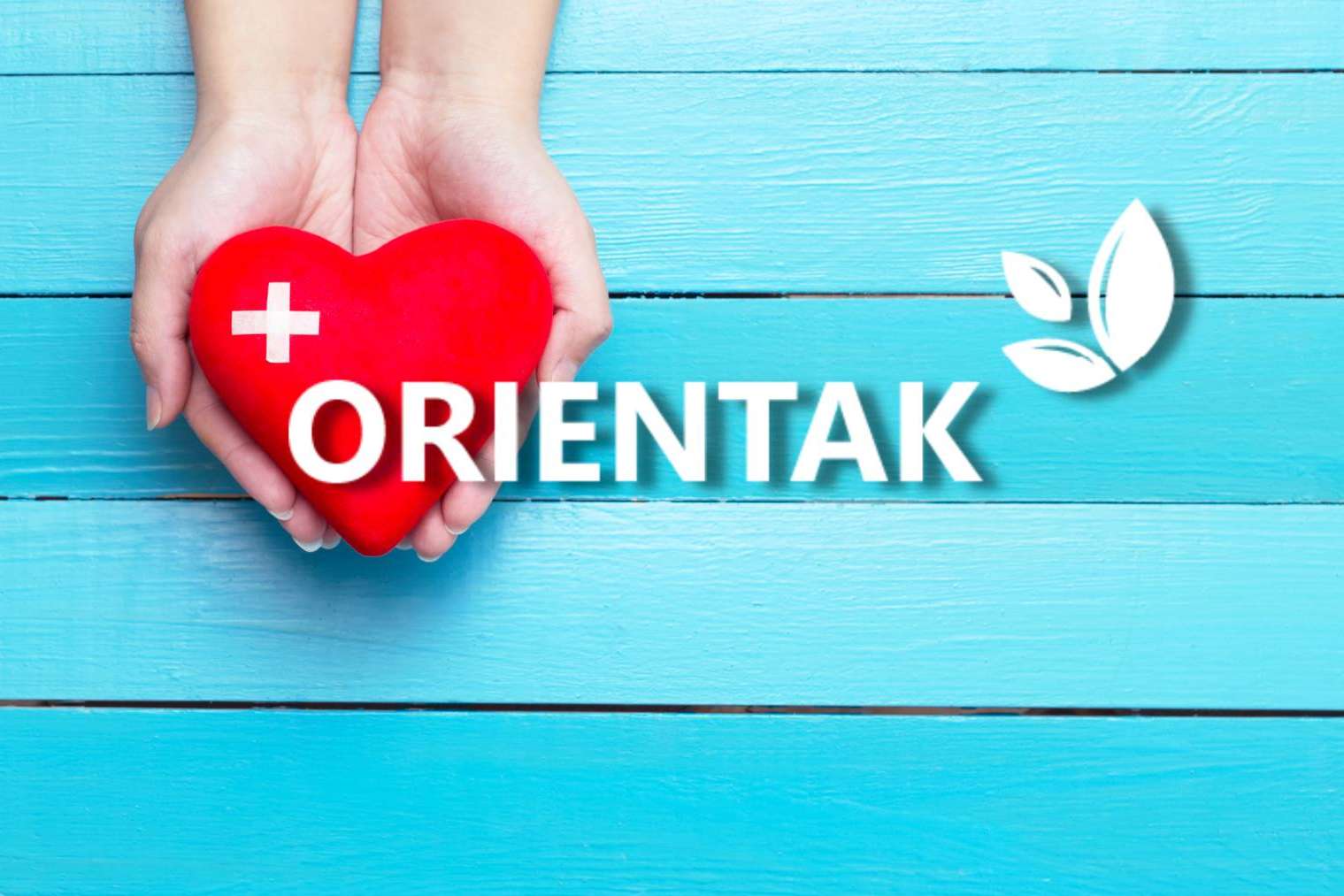 Hospital de día Orientak, en Madrid