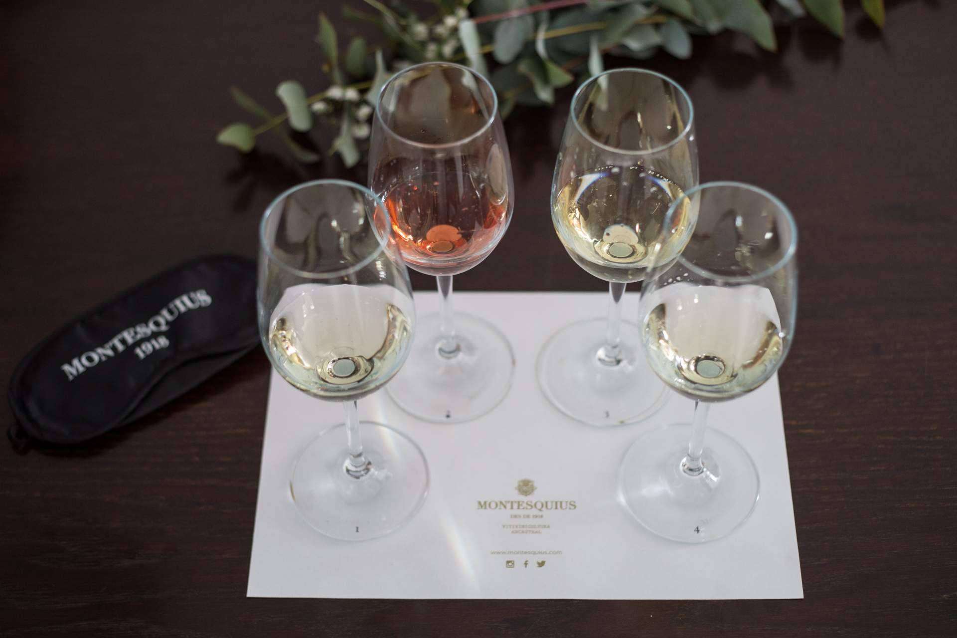 Catas a ciegas y tours privados en Sant Sadurní d'Anoia, la capital del cava