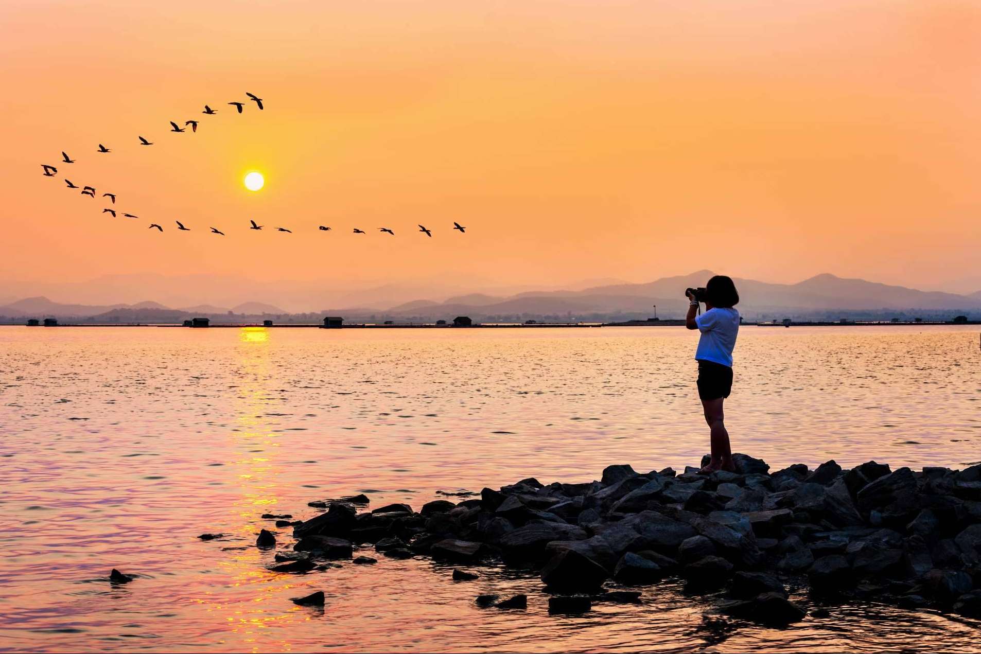 Paseos en barca por la Albufera para descubrir el lugar, de la mano de Albumar