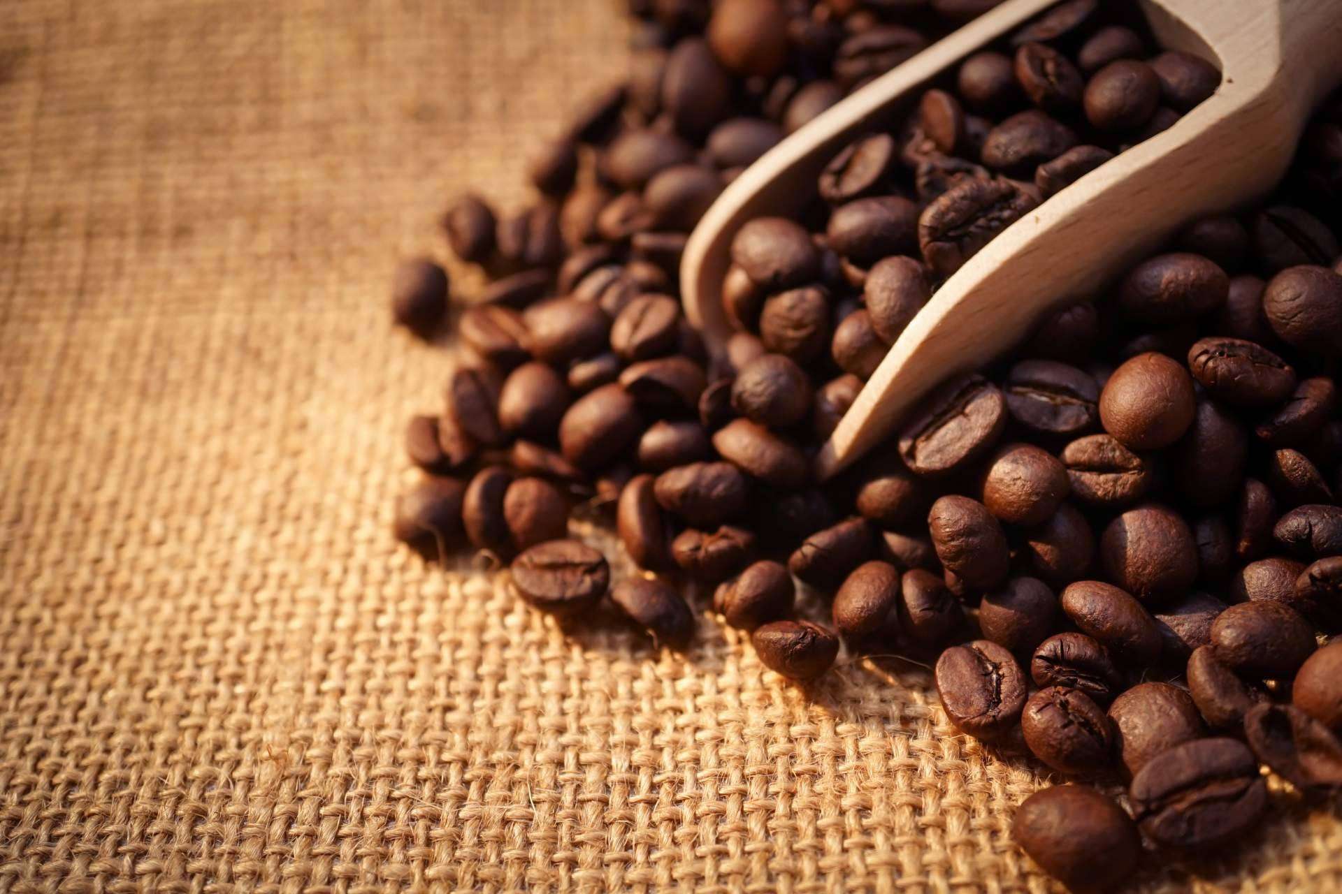Xtrong, el nuevo café ecológico de alta intensidad de Orisens