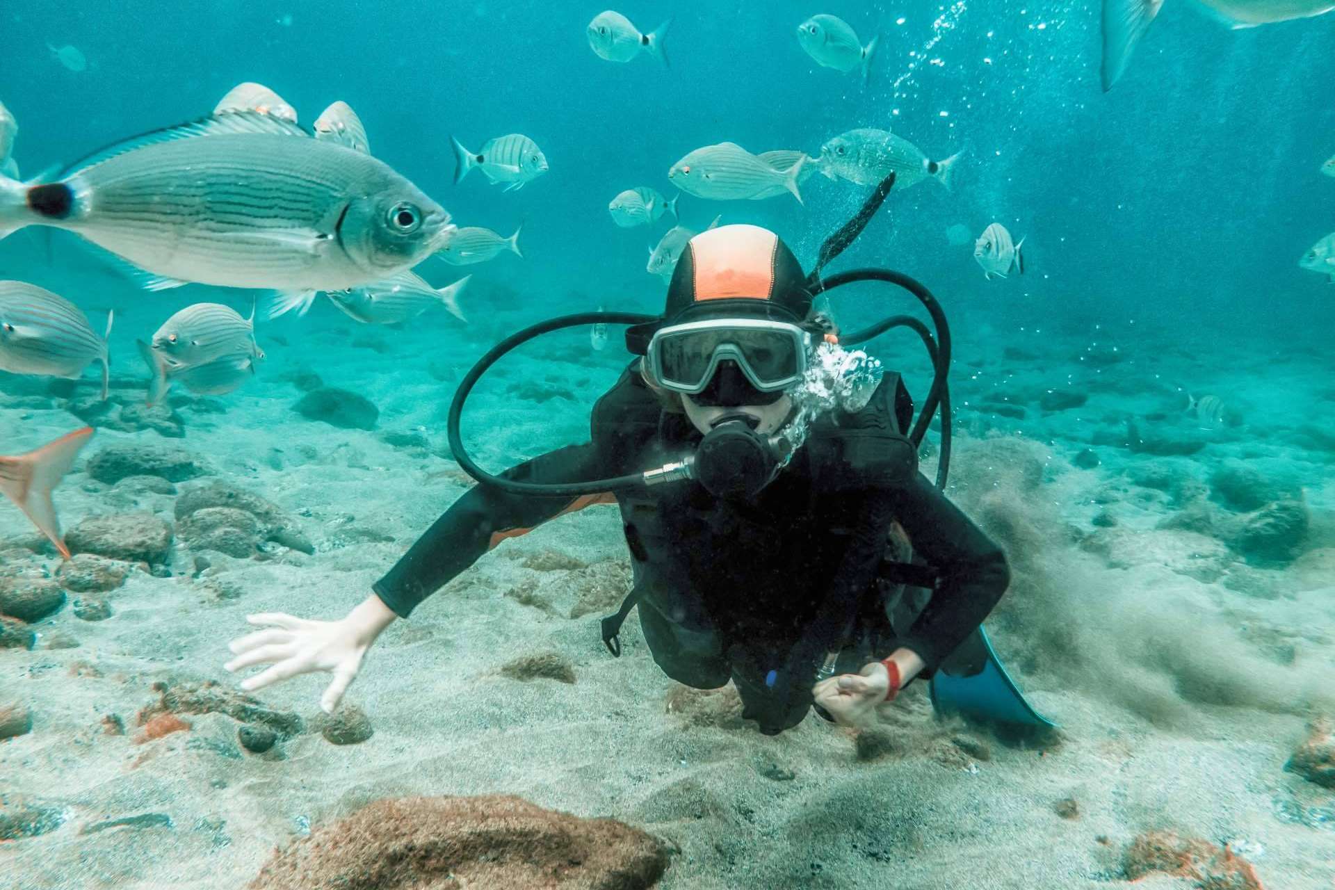 ¿Por qué el buceo en Koh Tao se ha convertido en una tendencia?, por Nitro Koh Tao