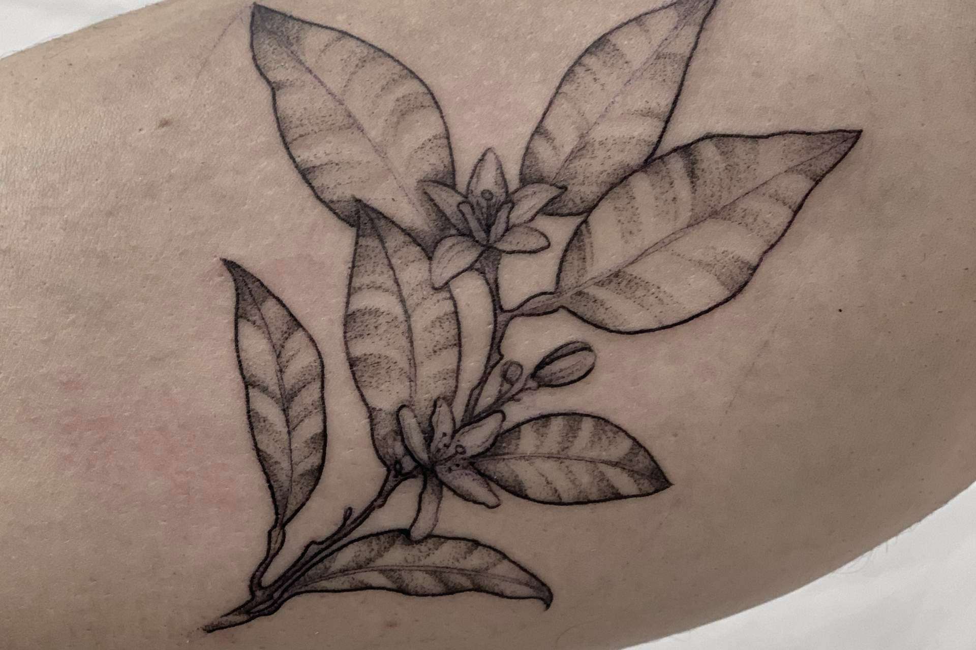 El estudio de Vieja Escuela Tattoo ofrece tatuajes a línea fina