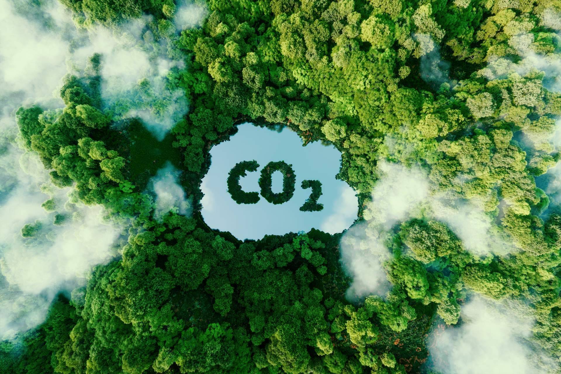 ClimateTrade participará en uno de los eventos climáticos más grandes del año, la COP27