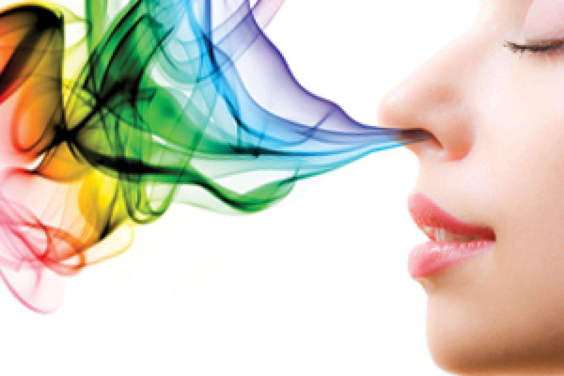 La importancia de la aromaterapia en las tiendas y establecimientos, con Scent Emotions