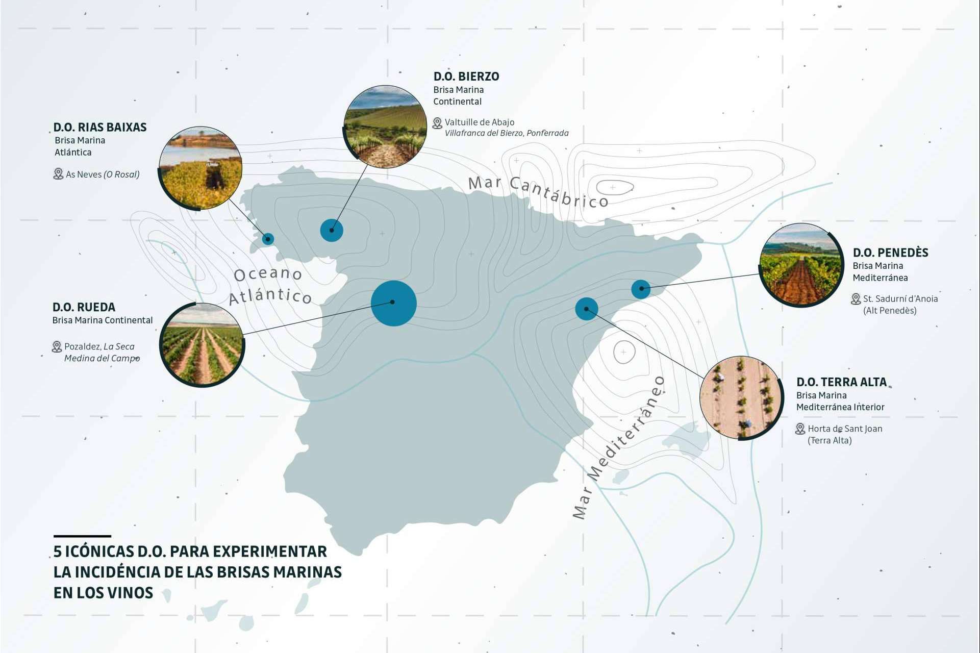 Naturelovers Wines y su colección de vinos BRISA MARINA