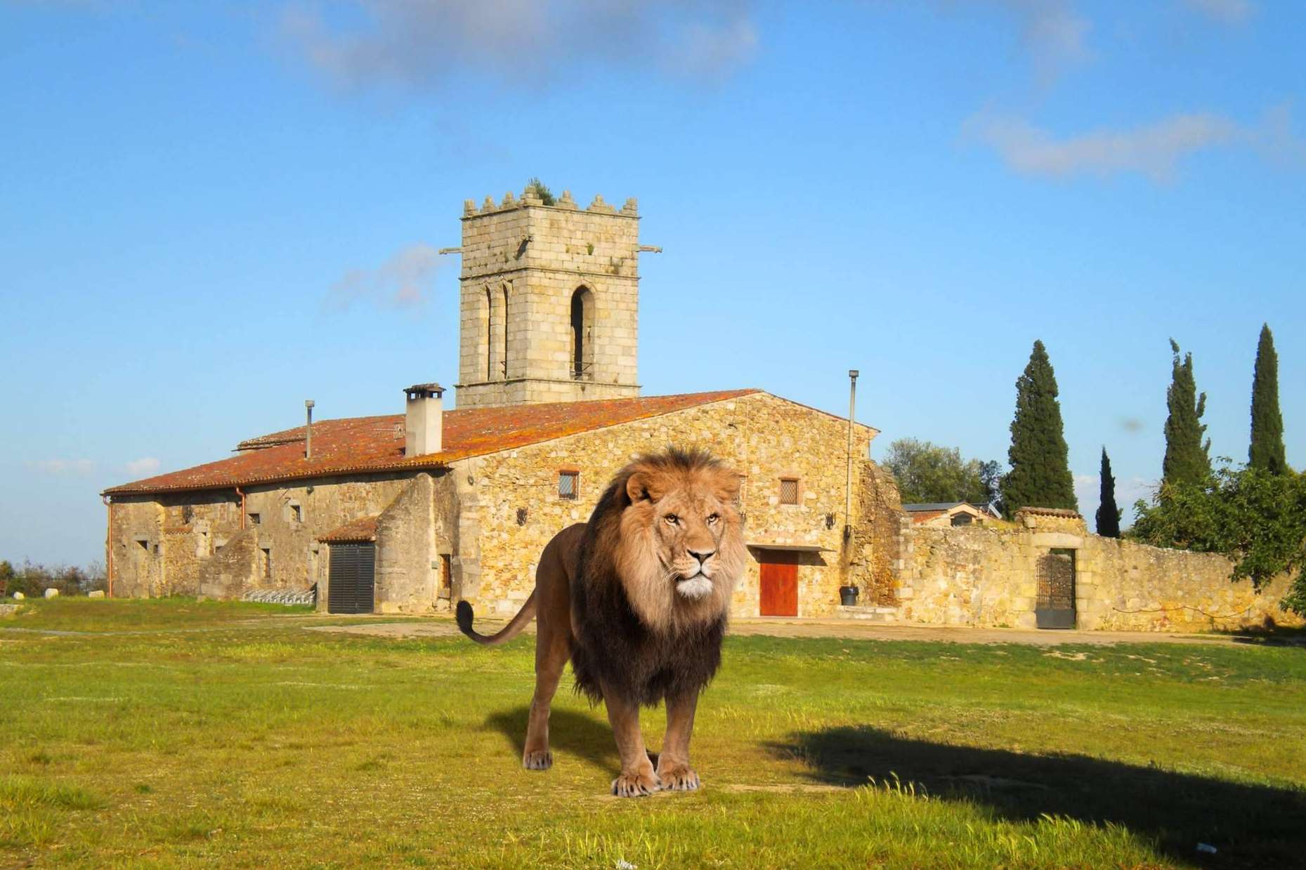 ¿Existe el zoo virtual?