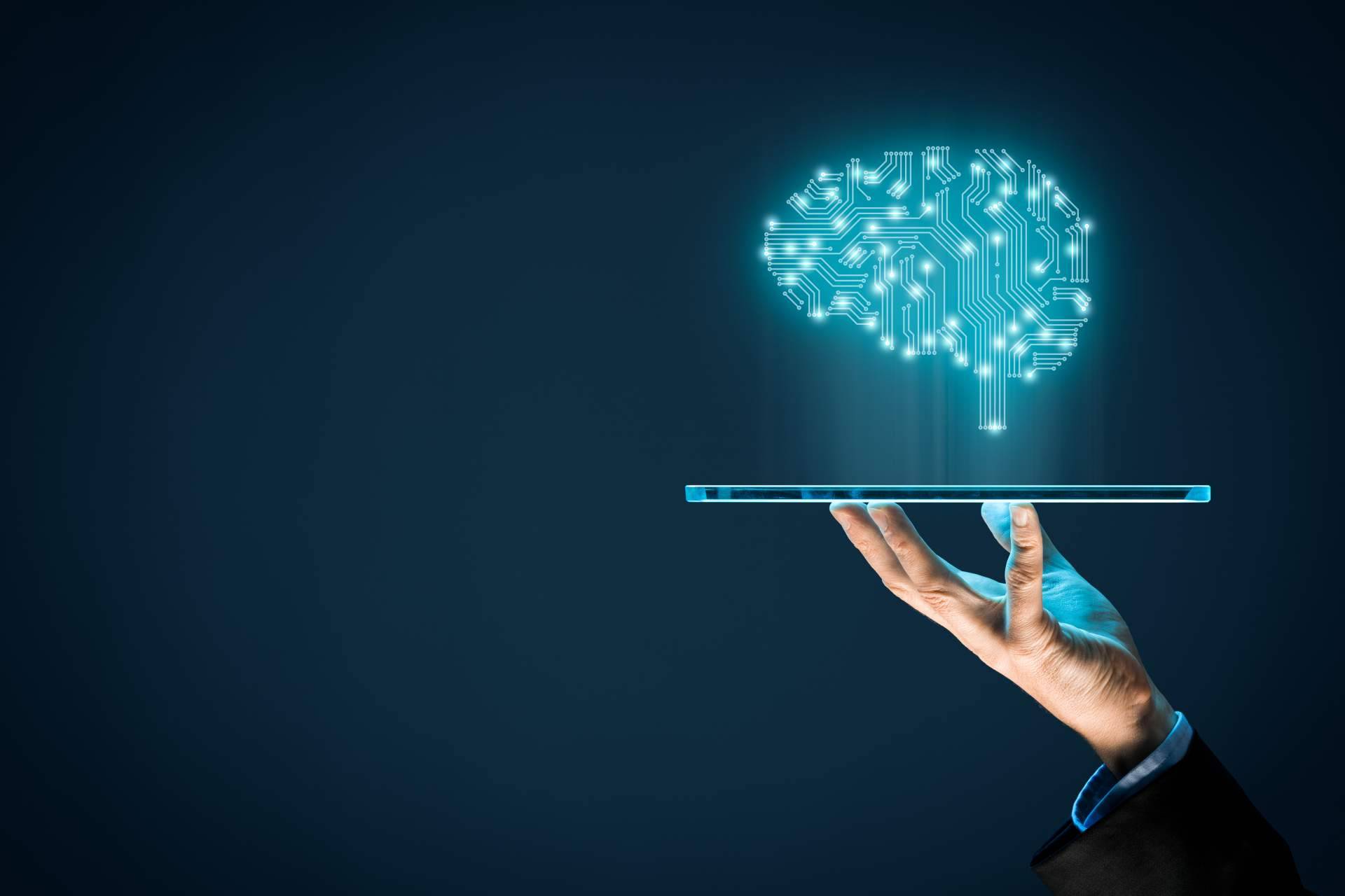 La importancia de las tomas de decisiones basadas en datos, por AnniQ