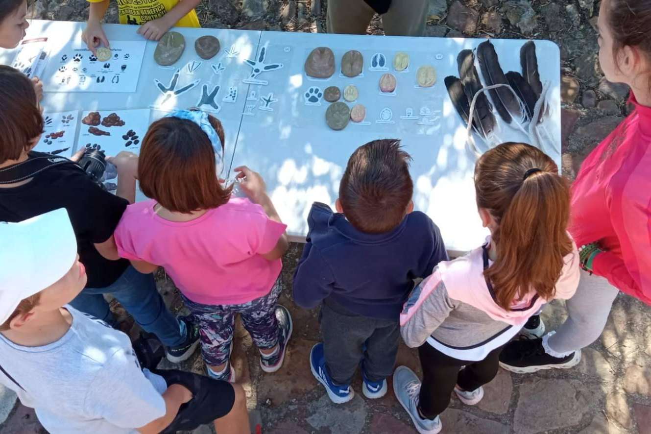 Disfrutar de las rutas de senderismo en Alamillo
