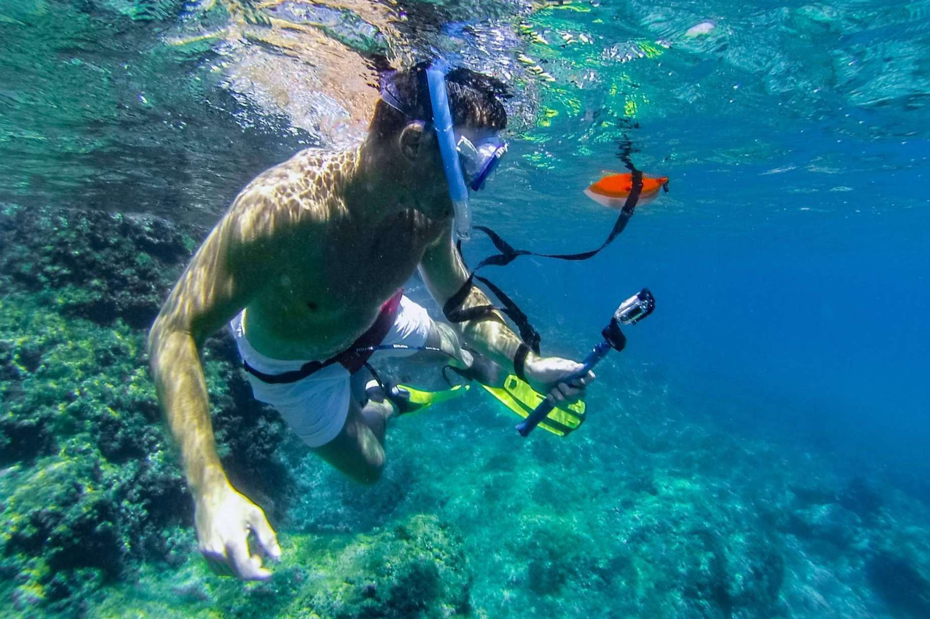 La agencia que fomenta el turismo sostenible en la Provenza Francesa, Planetazur