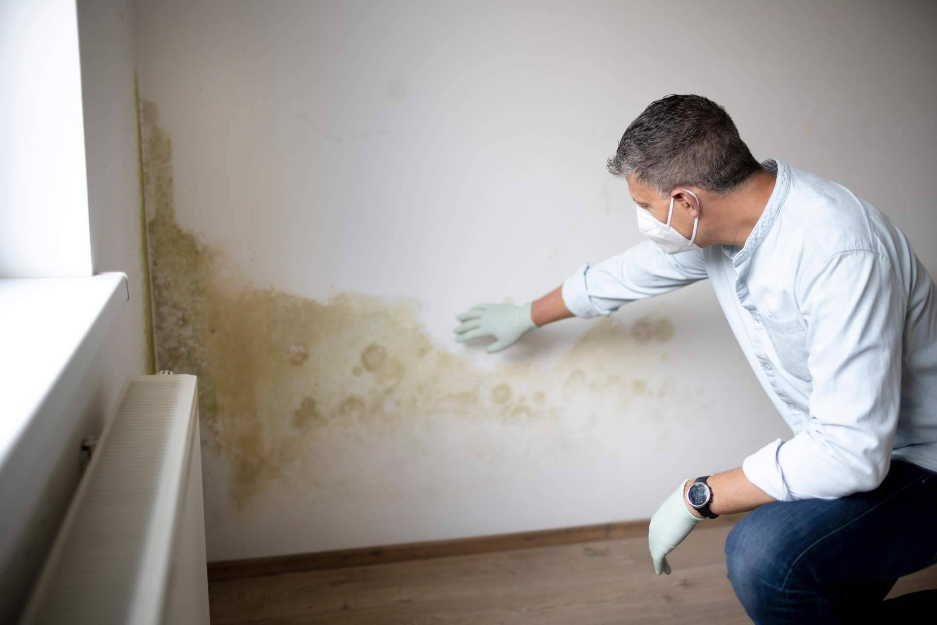 La importancia de Aquapol en la salud de un inmueble