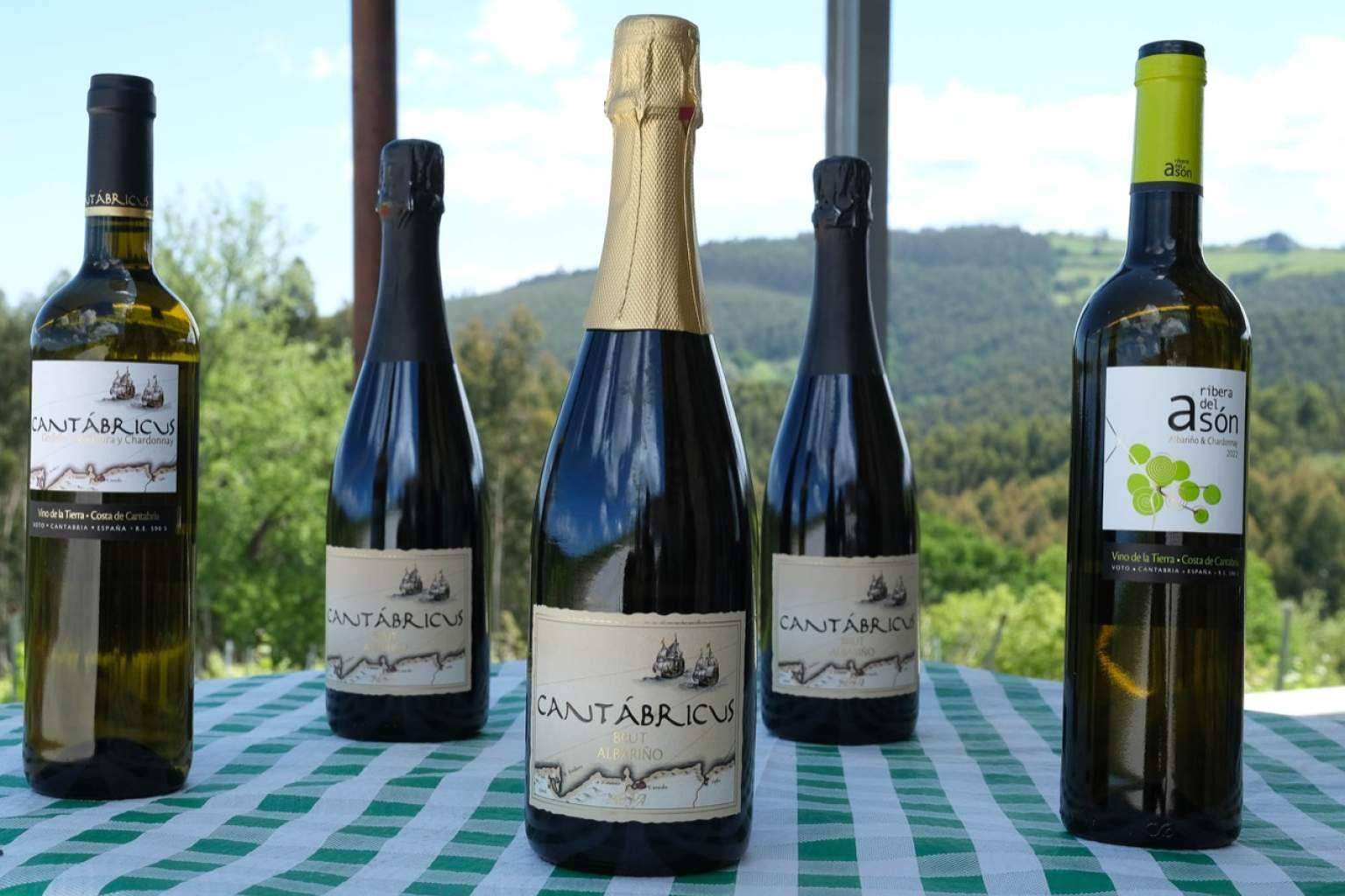 Enoturismo en Cantabria, de la mano de Bodegas Vidular