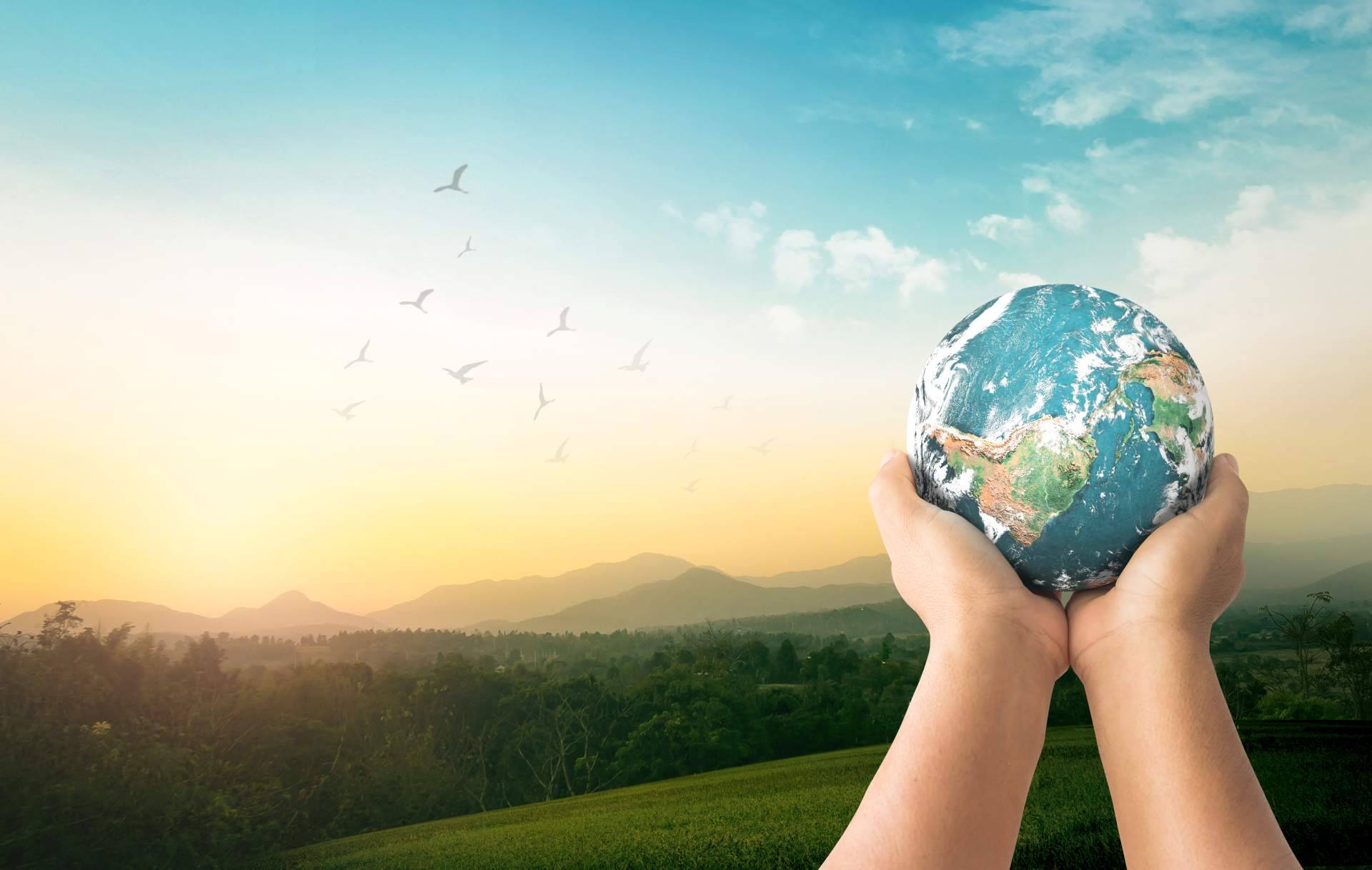 Safebrok promueve la atención al medioambiente a través de finanzas sostenibles