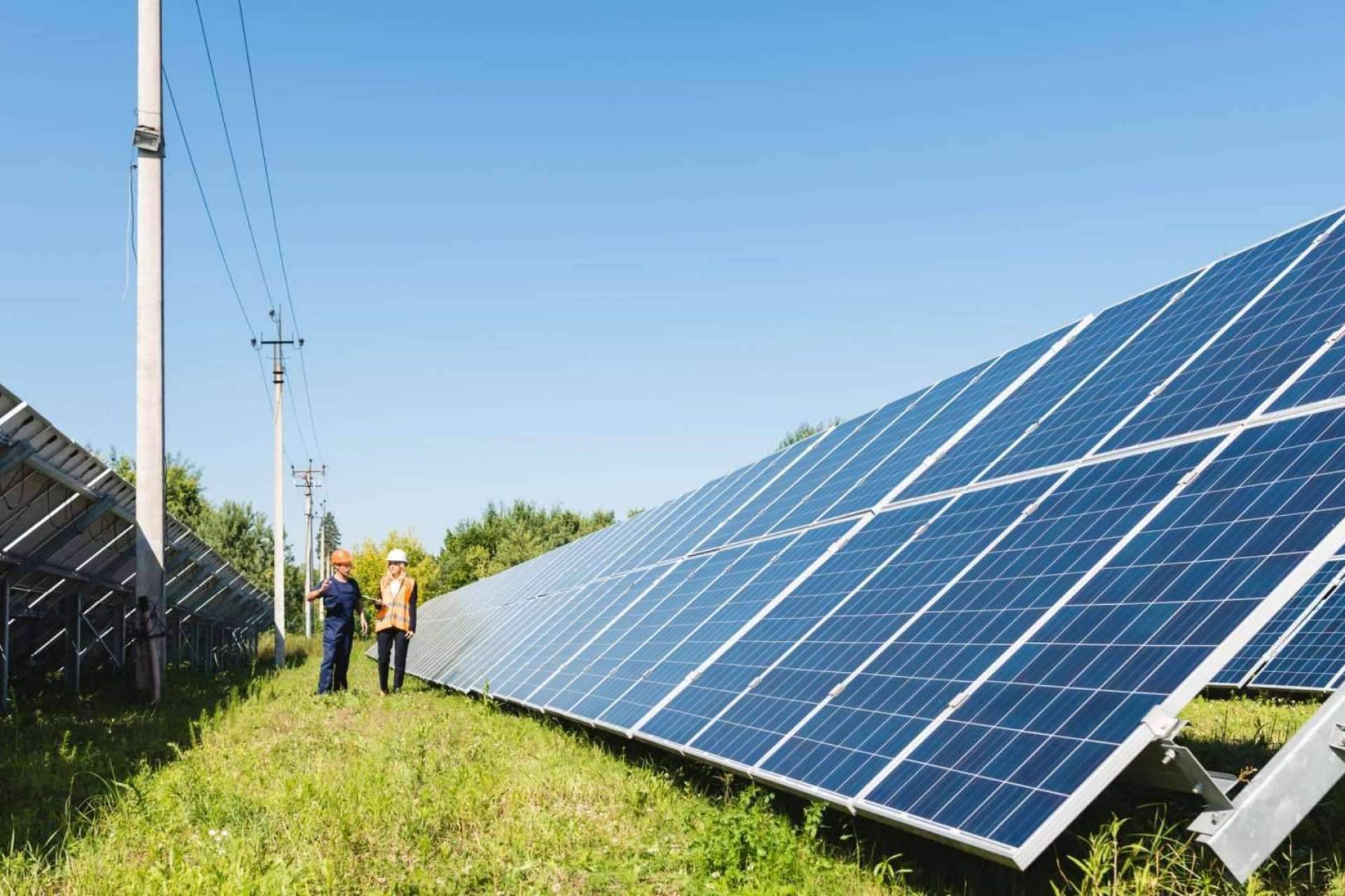 El auge de los paneles solares; Vatios Verdes resalta sus características