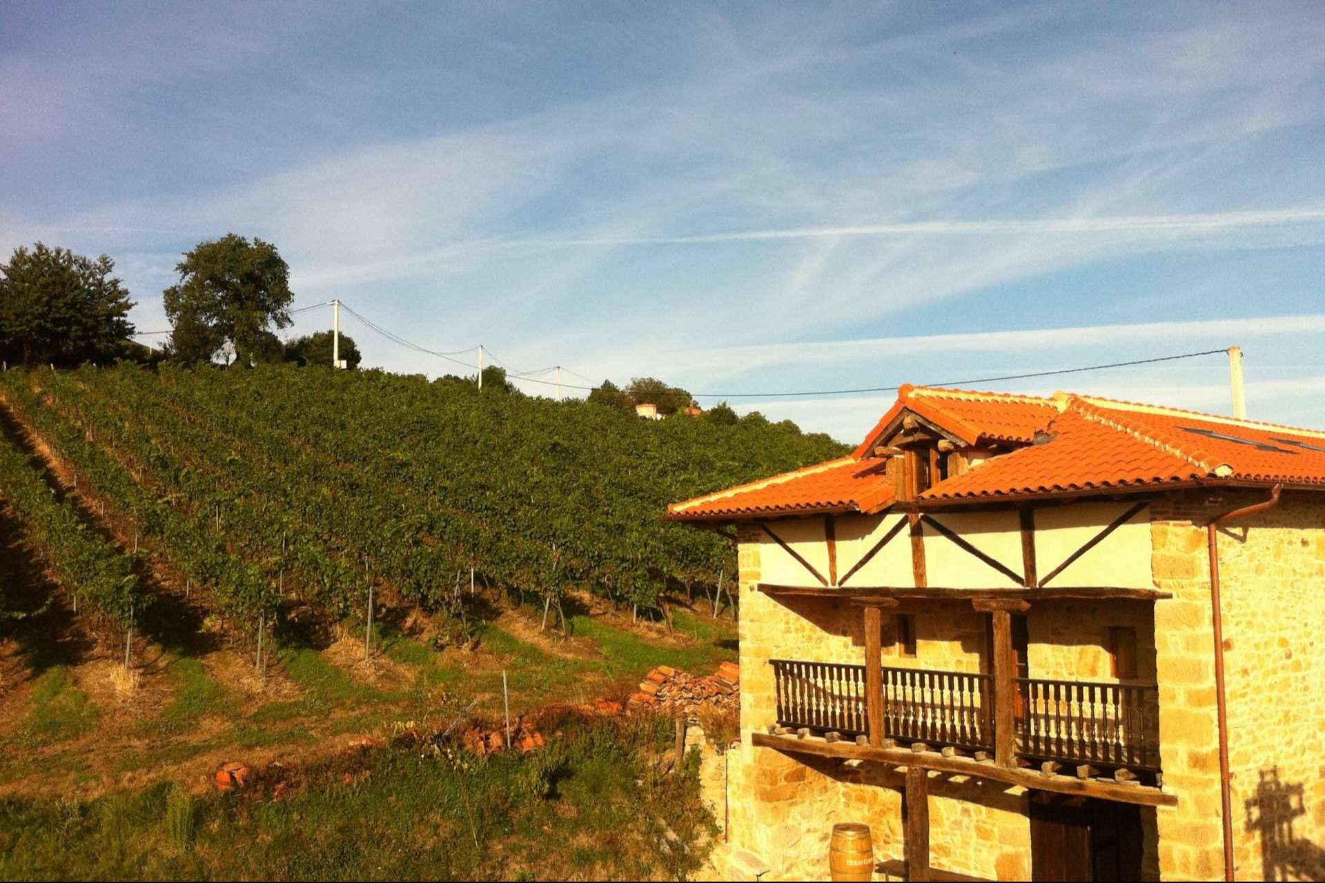 Una historia de amor y respeto por el vino y la 'tierruca', Bodegas Vidular