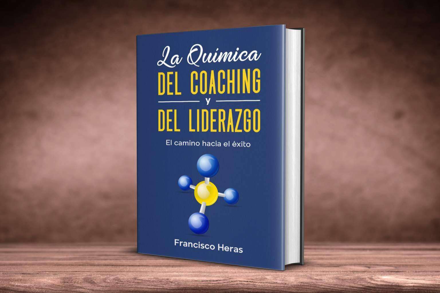 Acerca de la formación en toma de decisiones para empresas de Heras Coaching