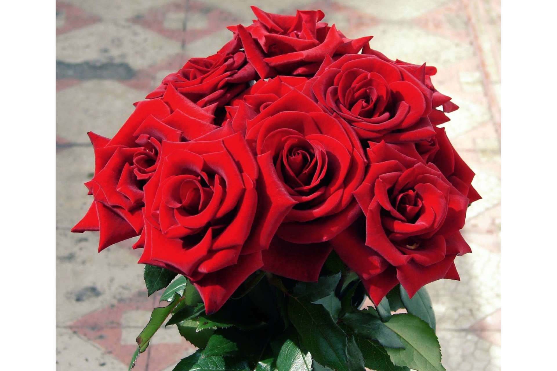 Roses To Love permite regalar ramo de rosas rojas ecoamigable