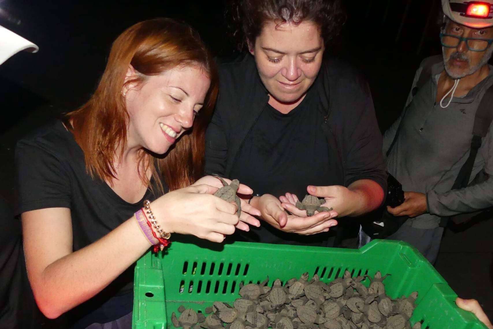 ¿Cómo vivir voluntariados ambientales internacionales? ONGVoluntariado