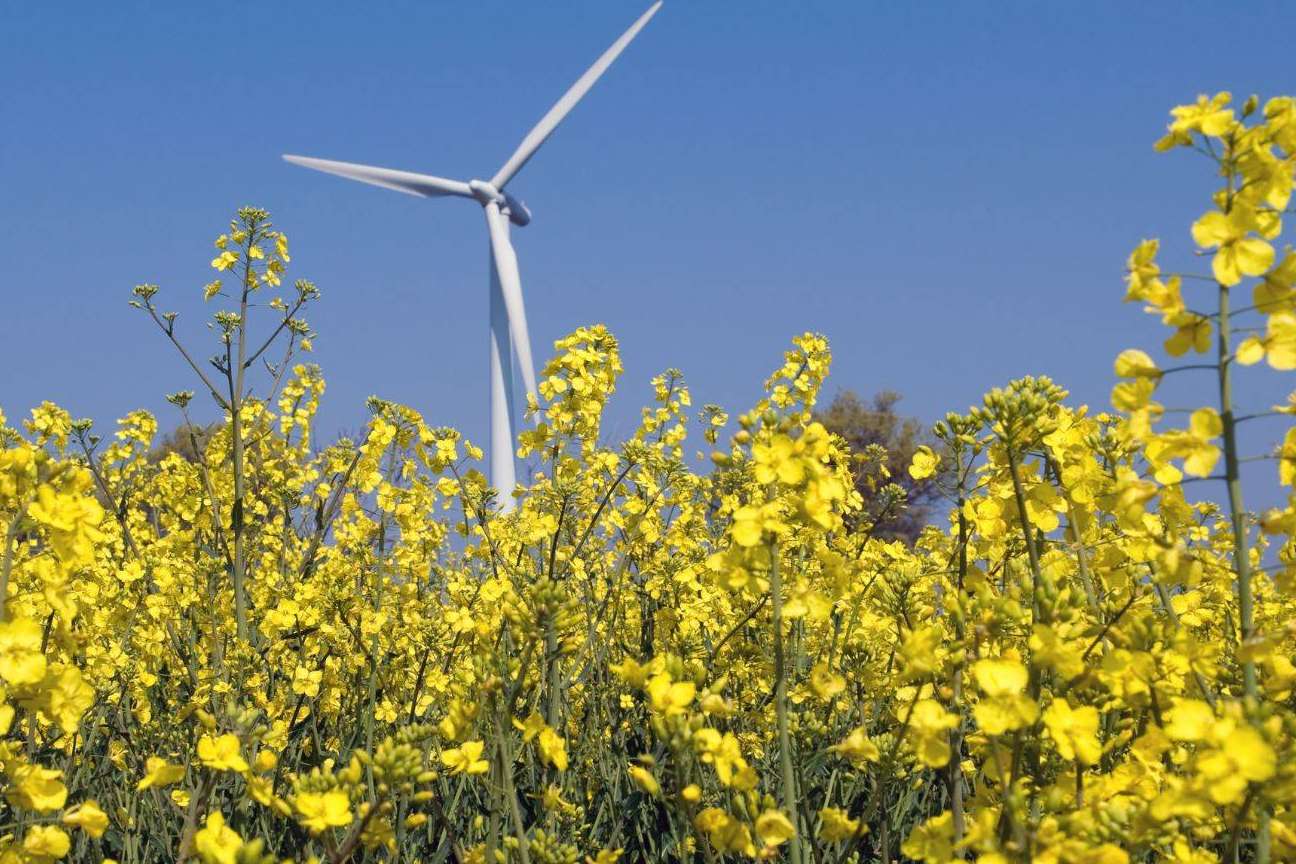 Asesoramiento energético para empresas gratuito, de la mano de Eneryou